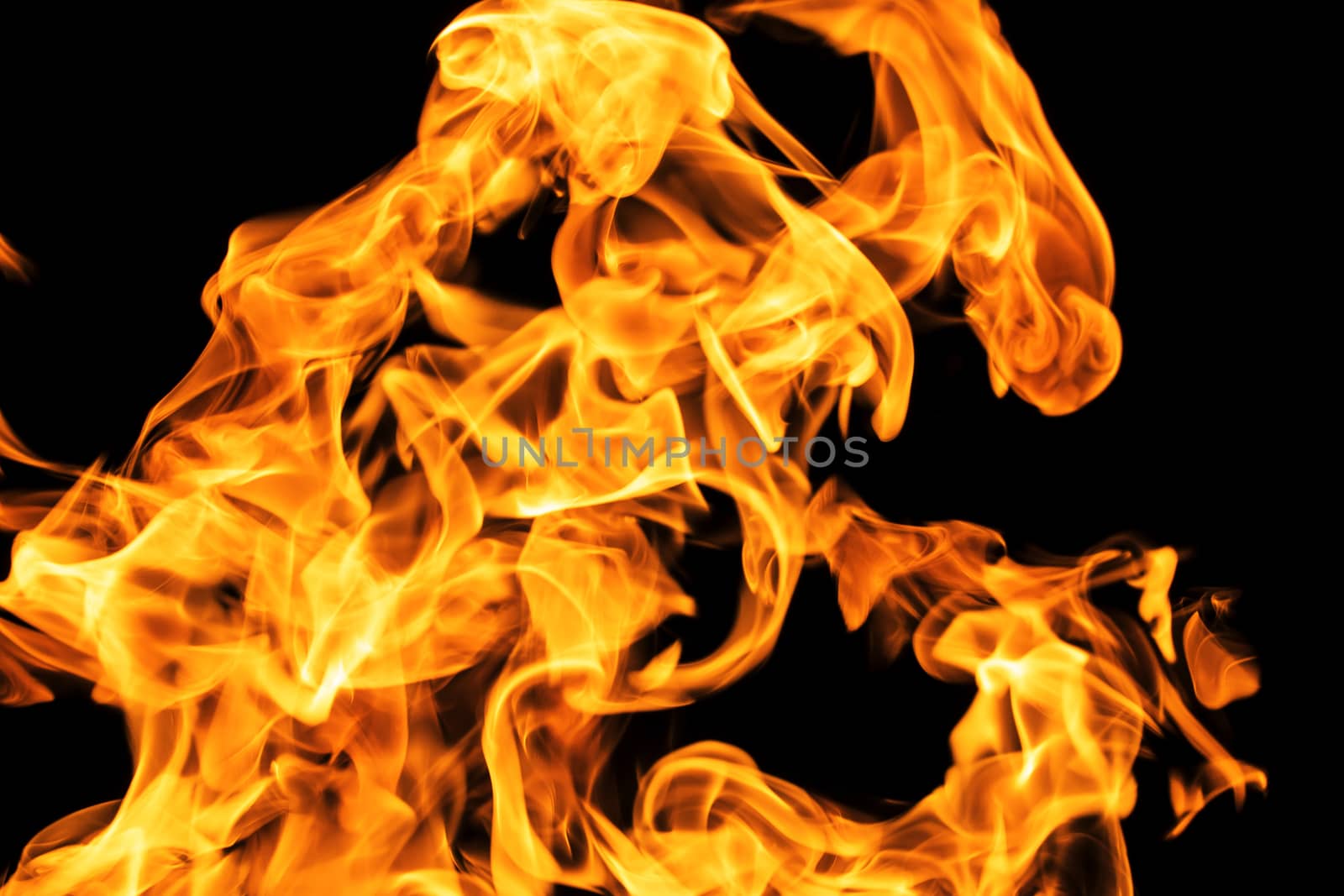 Fire flames on black background isolated. Burning gas or gasolin by YevgeniySam