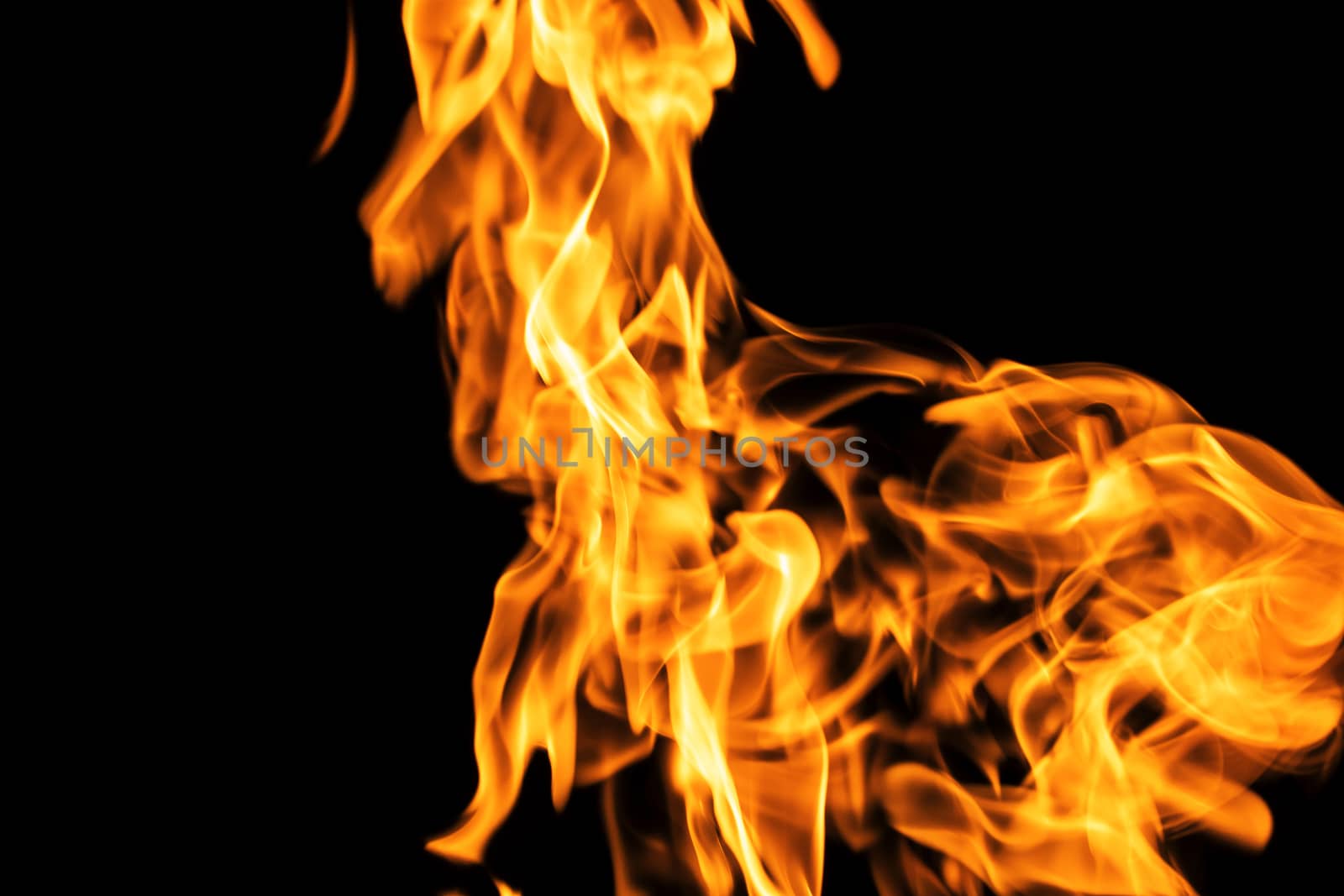 Fire flames on black background isolated. Burning gas or gasolin by YevgeniySam