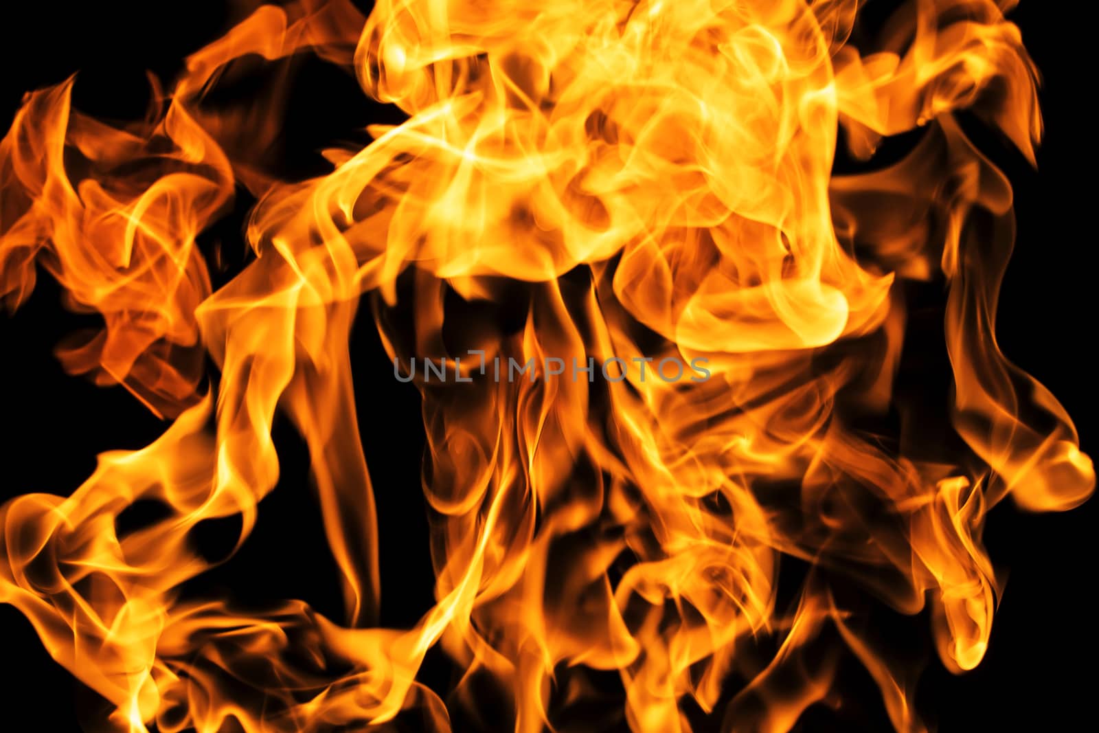 Fire flames on black background isolated. Burning gas or gasolin by YevgeniySam