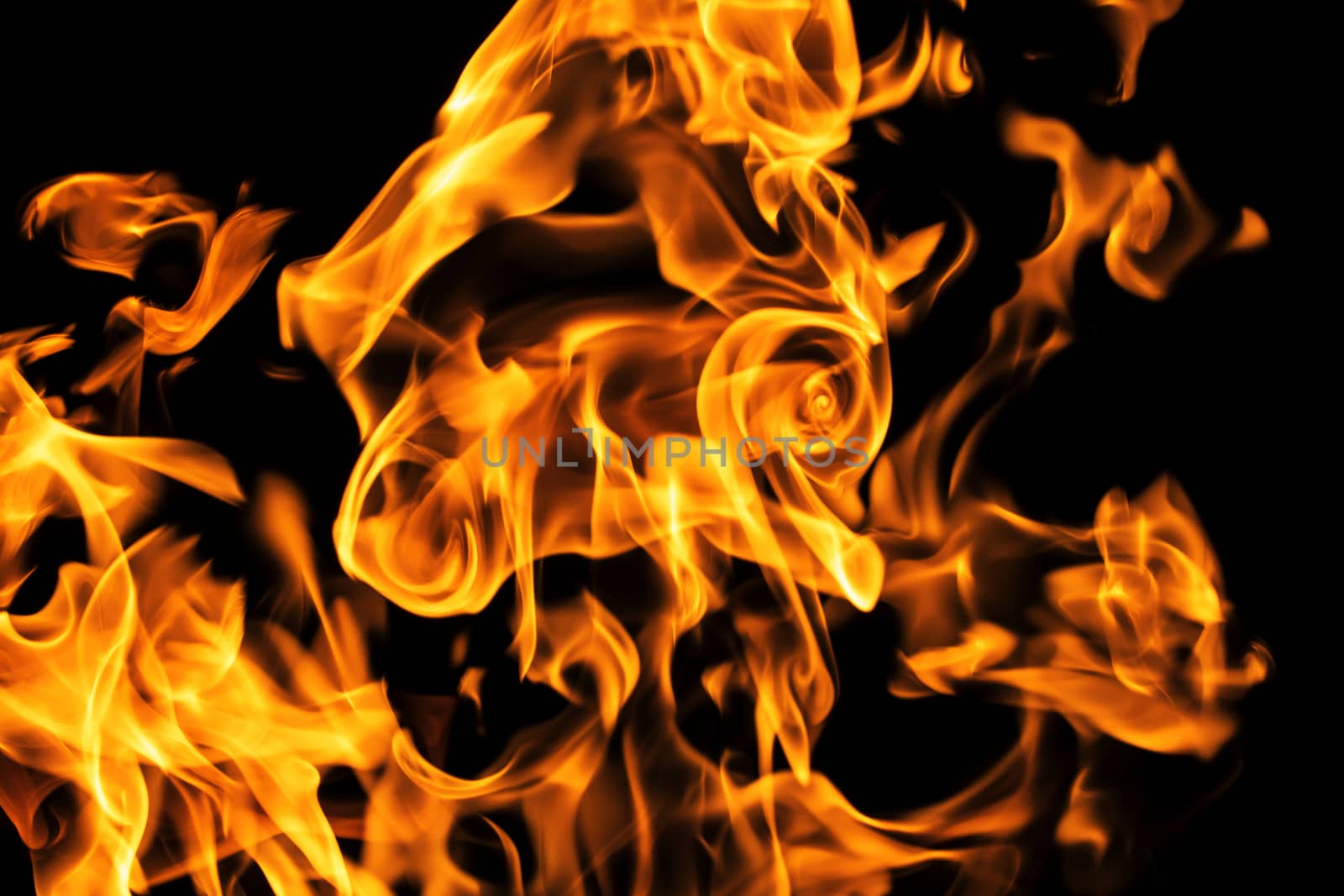 Fire flames on black background isolated. Burning gas or gasolin by YevgeniySam