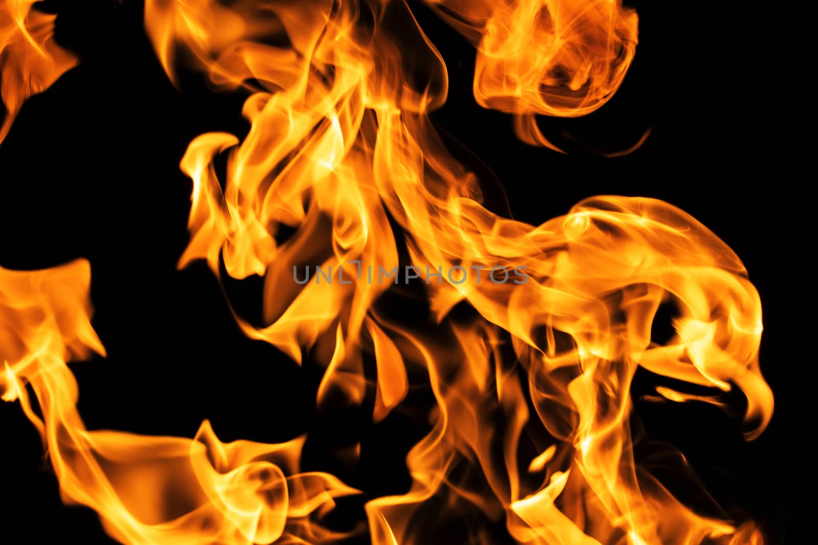 Fire flames on black background isolated. Burning gas or gasoline burns with fire and flames. Flaming burning sparks close-up, fire patterns. Infernal glow of fire in the dark with copy-space