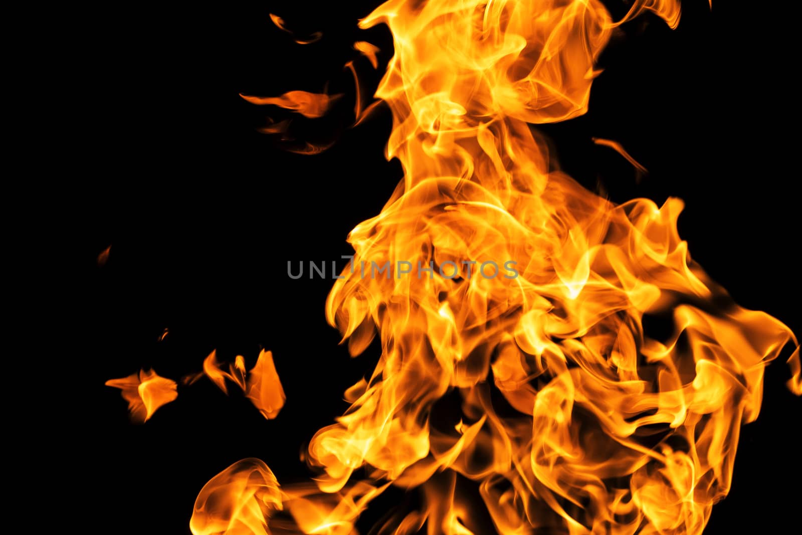 Fire flames on black background isolated. Burning gas or gasoline burns with fire and flames. Flaming burning sparks close-up, fire patterns. Infernal glow of fire in the dark with copy-space