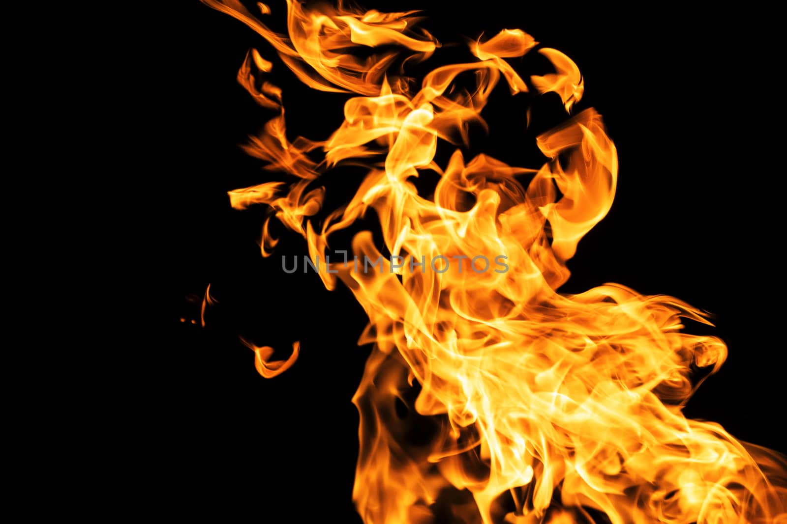 Fire flames on black background isolated. Burning gas or gasolin by YevgeniySam