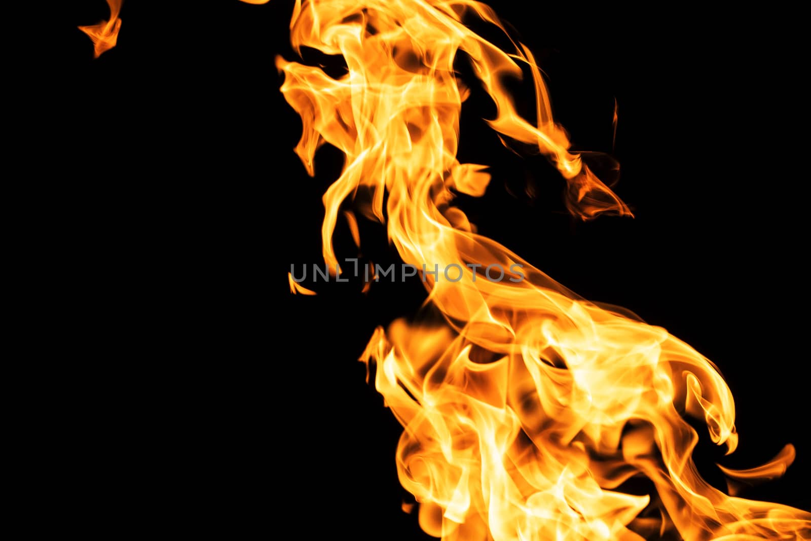 Fire flames on black background isolated. Burning gas or gasoline burns with fire and flames. Flaming burning sparks close-up, fire patterns. Infernal glow of fire in the dark with copy-space