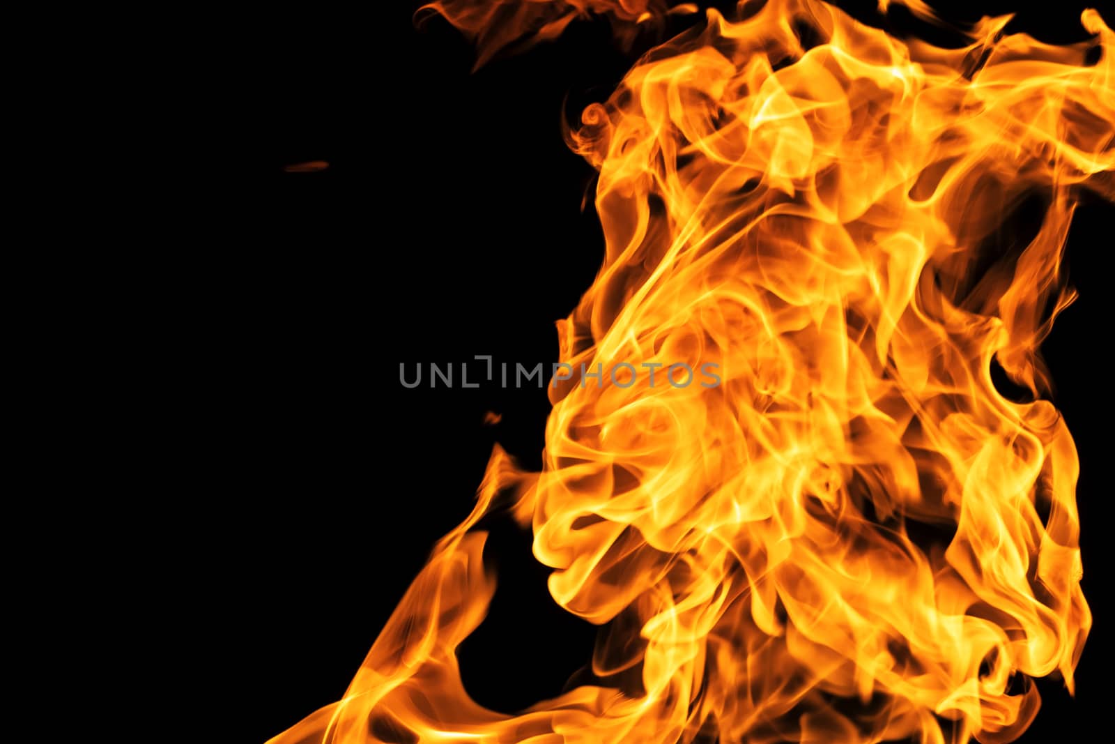 Fire flames on black background isolated. Burning gas or gasolin by YevgeniySam