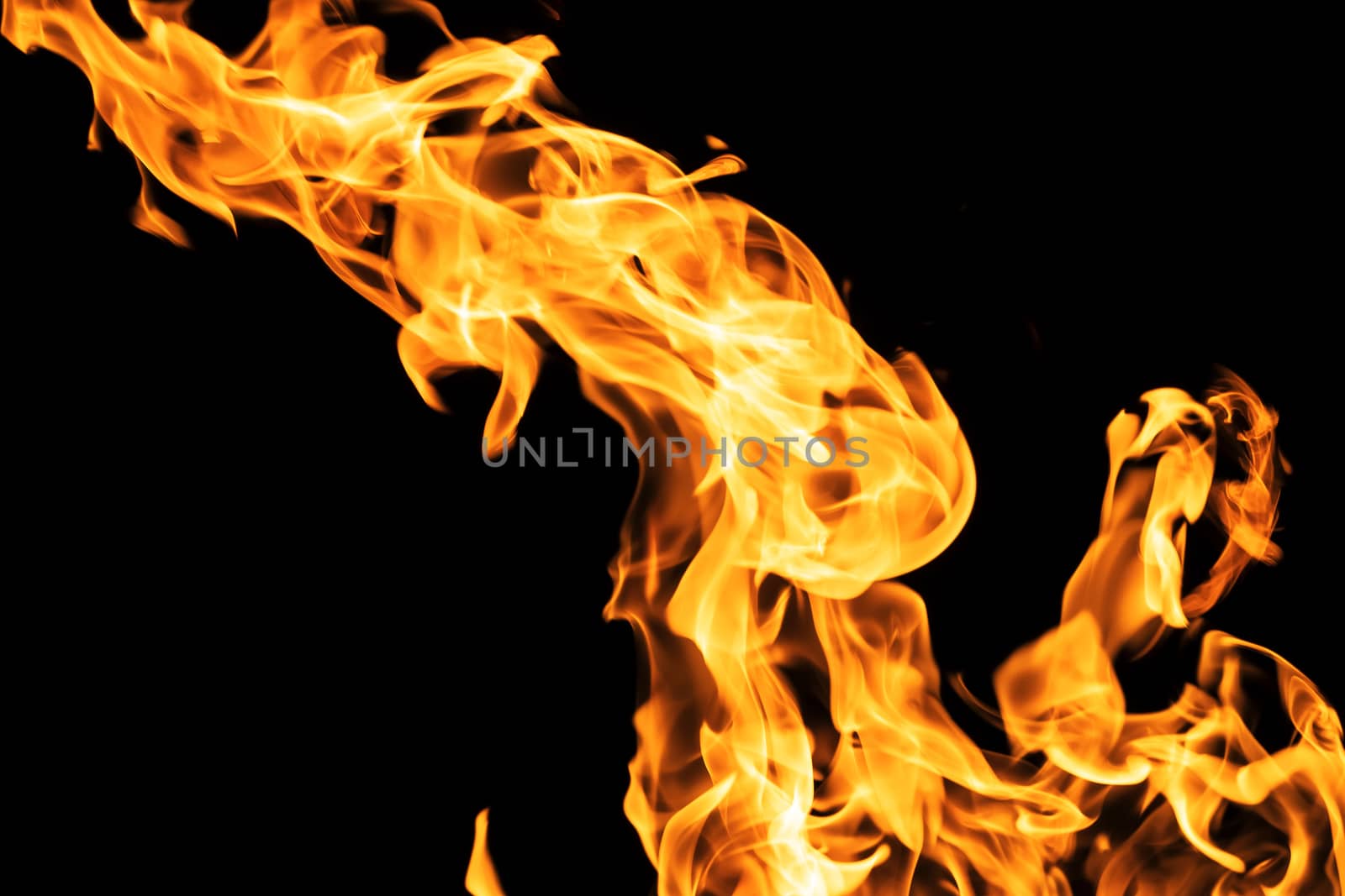 Fire flames on black background isolated. Burning gas or gasoline burns with fire and flames. Flaming burning sparks close-up, fire patterns. Infernal glow of fire in the dark with copy-space