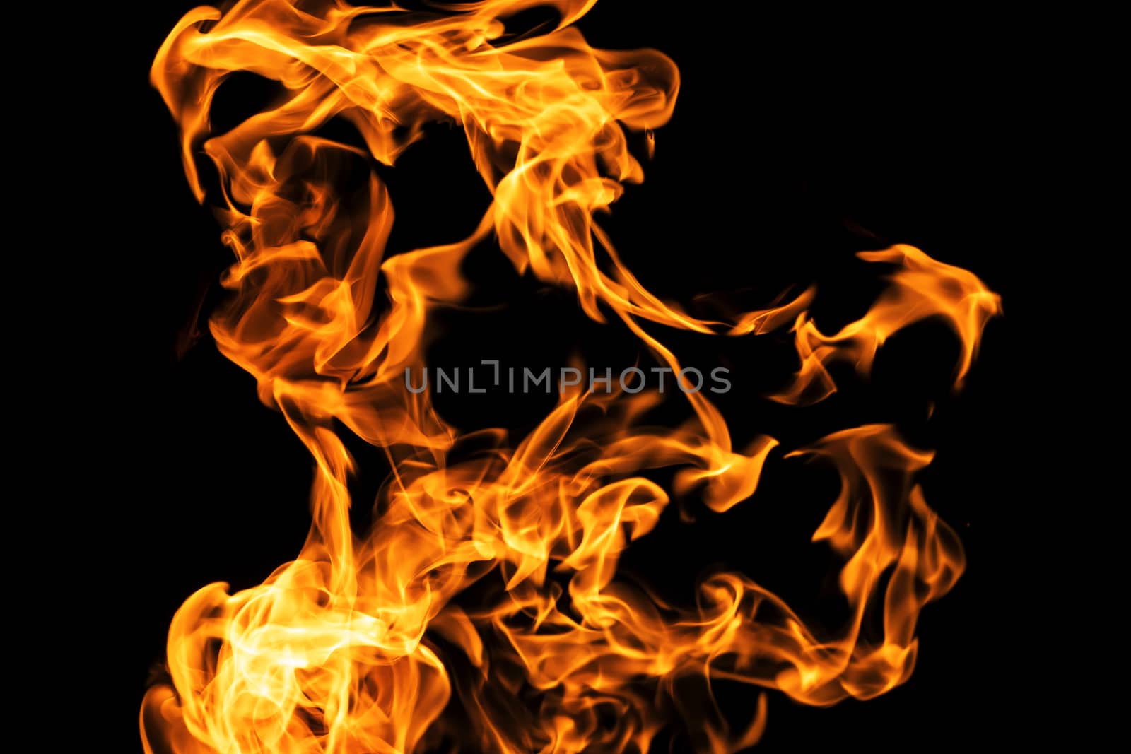 Fire flames on black background isolated. Burning gas or gasoline burns with fire and flames. Flaming burning sparks close-up, fire patterns. Infernal glow of fire in the dark with copy-space