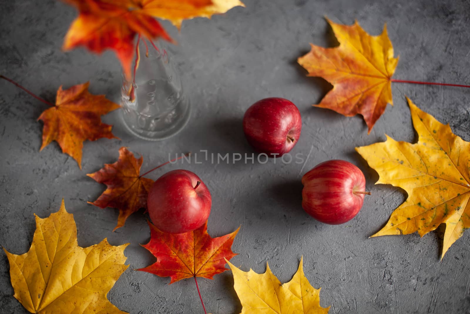 Autumn marple leaves and Ripe garden red apples on gray concrete. Fruits concept of the fall harvest. Space for text.