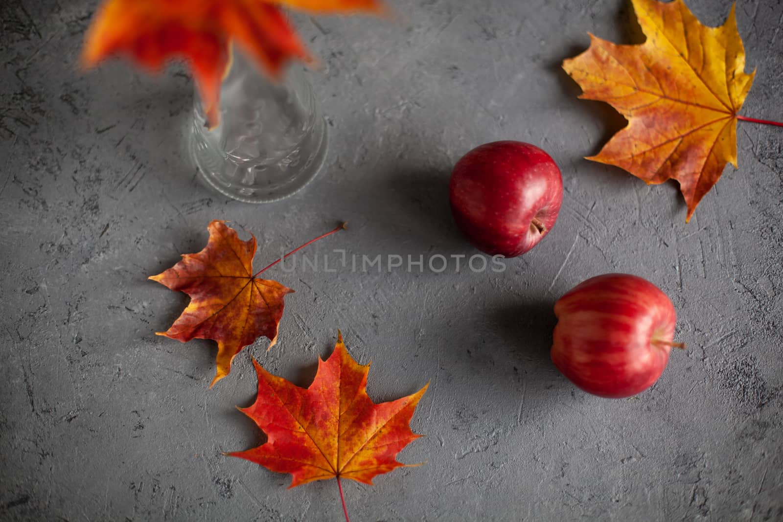 Autumn marple leaves and Ripe garden red apples on gray concrete. Fruits concept of the fall harvest. Space for text.