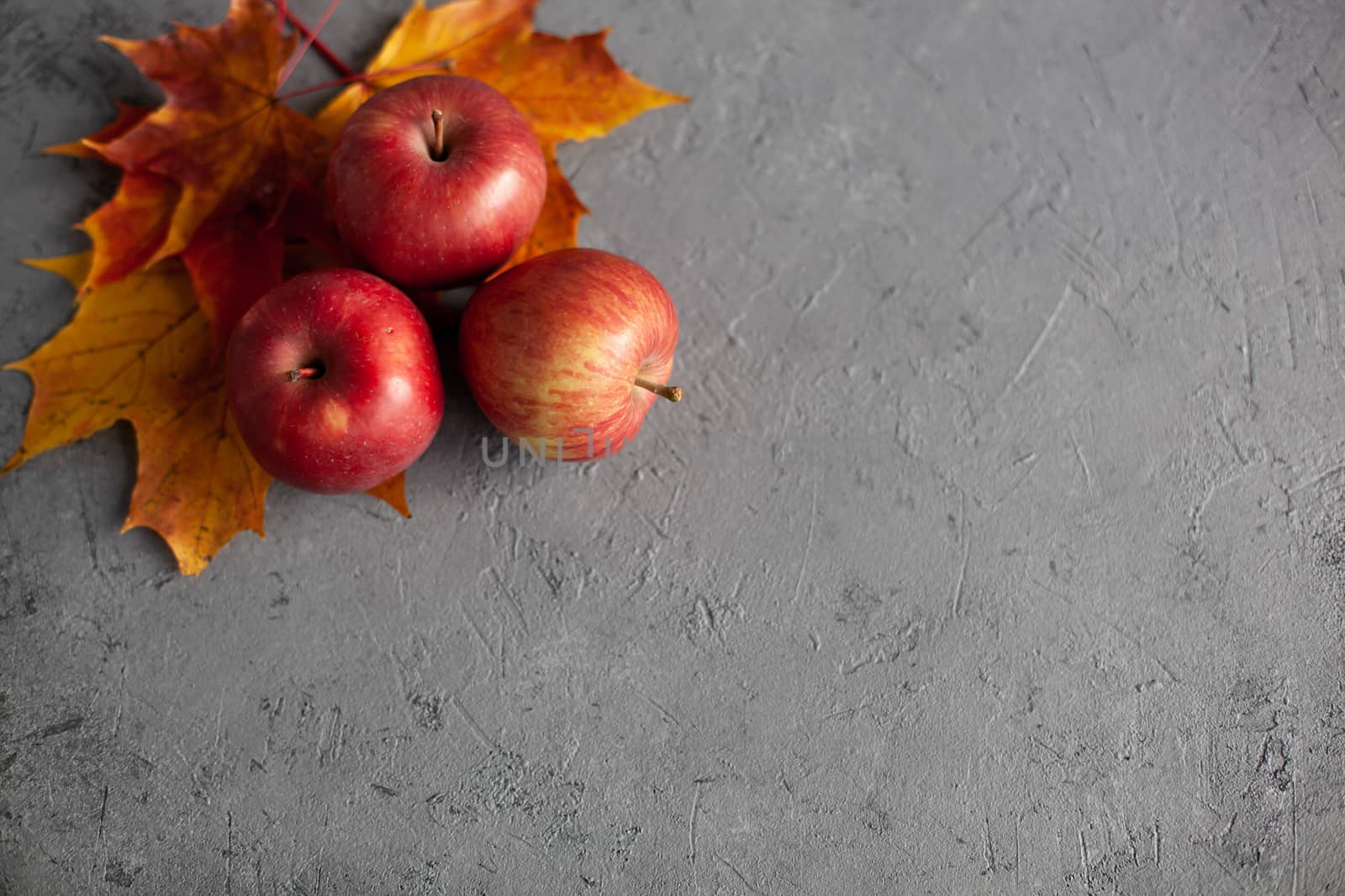 Autumn marple leaves and Ripe garden red apples on gray concrete. Fruits concept of the fall harvest. Space for text.