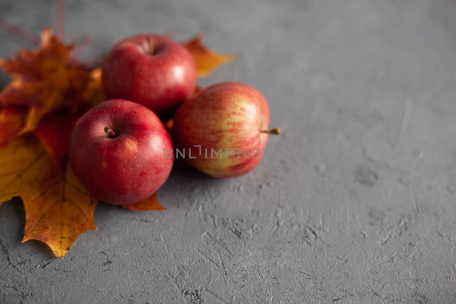 Autumn marple leaves and Ripe garden red apples on gray concrete. Fruits concept of the fall harvest. Space for text.