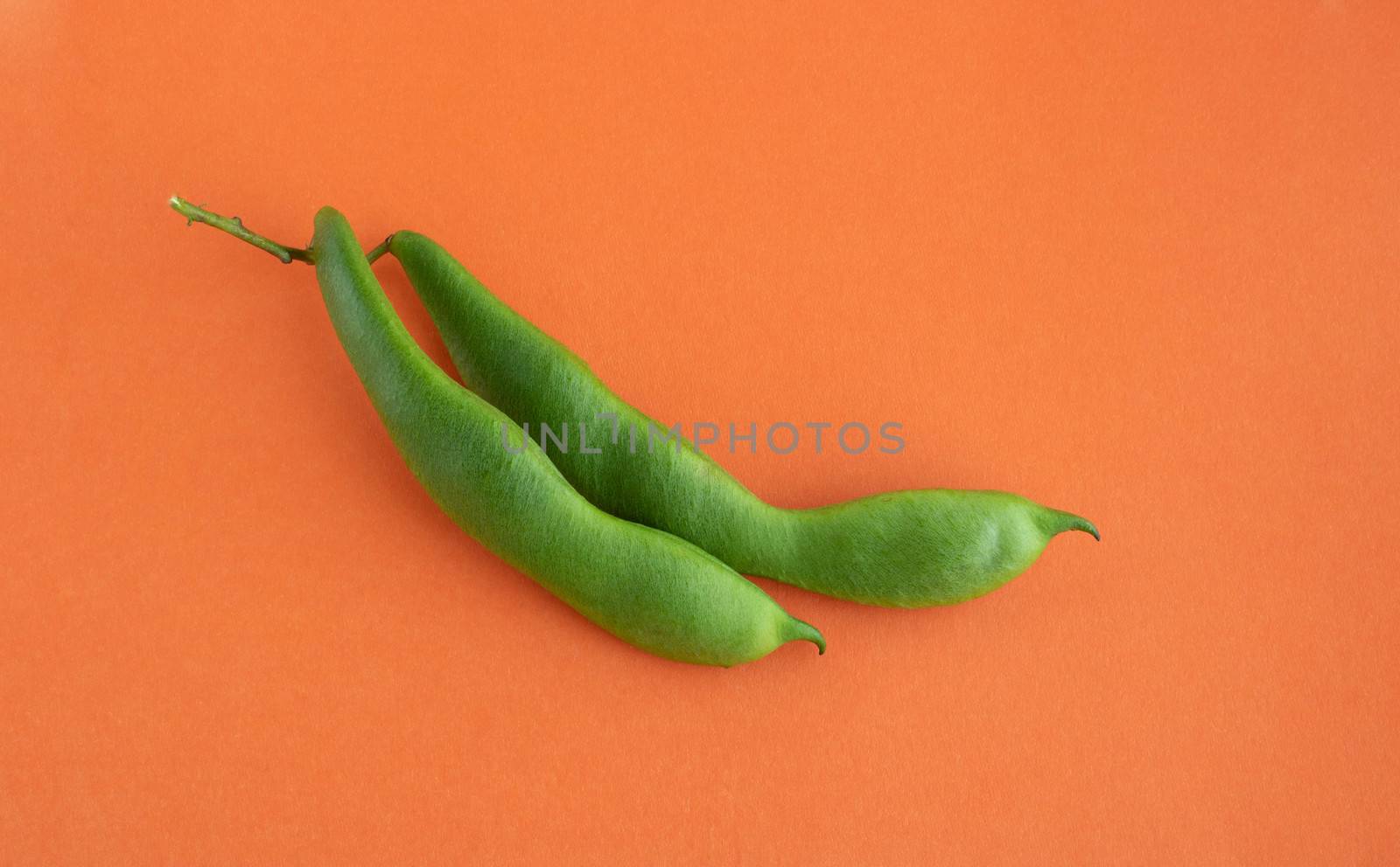 Soy beans close-up, green soy pod on orange background.