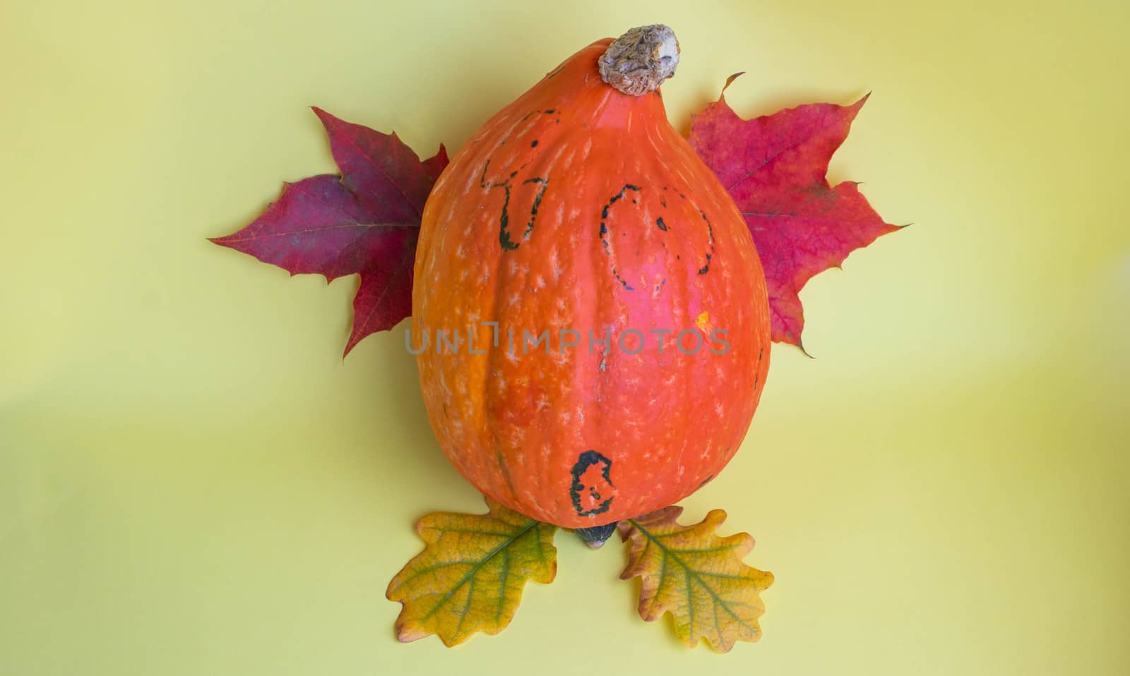 Funny pumpkin on a yellow background with autumn leaves .The concept of Halloween ,harvest,thanksgiving,vegetarianism.