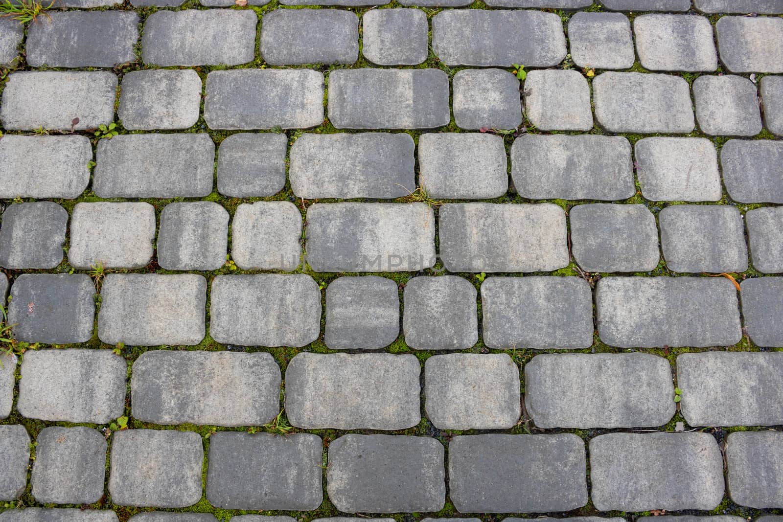 Texture of concrete pavement or sidewalk with paving slabs, top view. Blocks of the sidewalk pattern, details of the stone-tiled path.