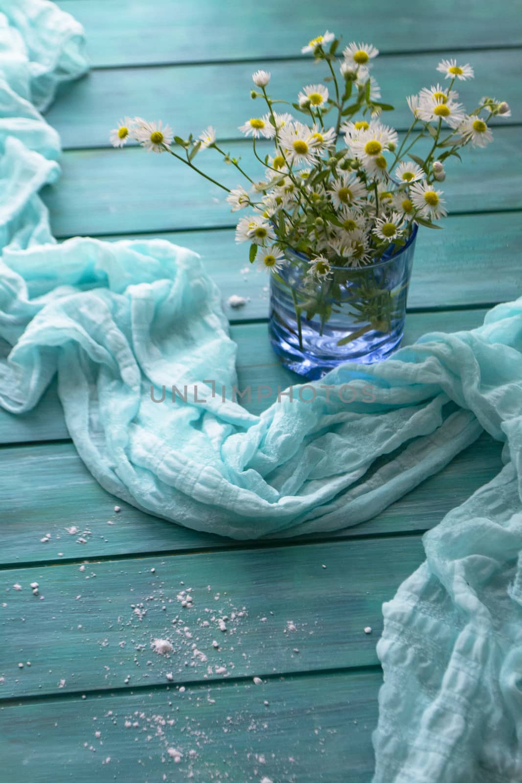 Blooming chamomile flowers on a teal blue wooden background, vertical image