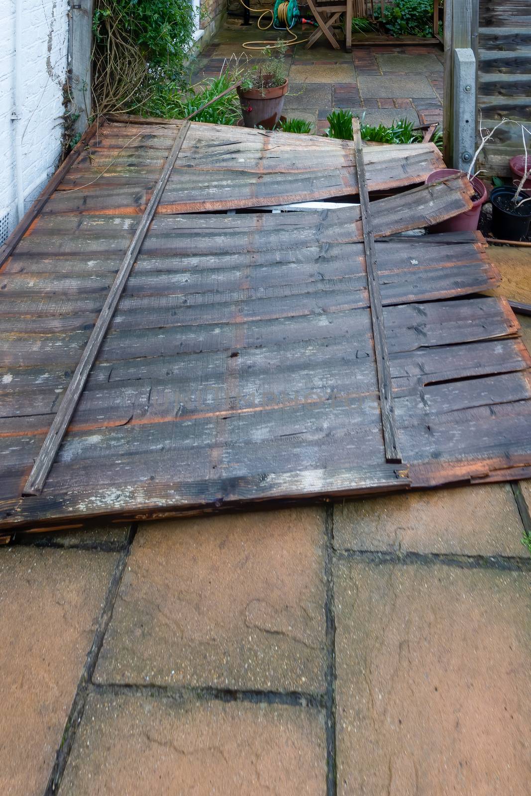 Residential wooden garden fence panel blown down by strong winds during a storm
