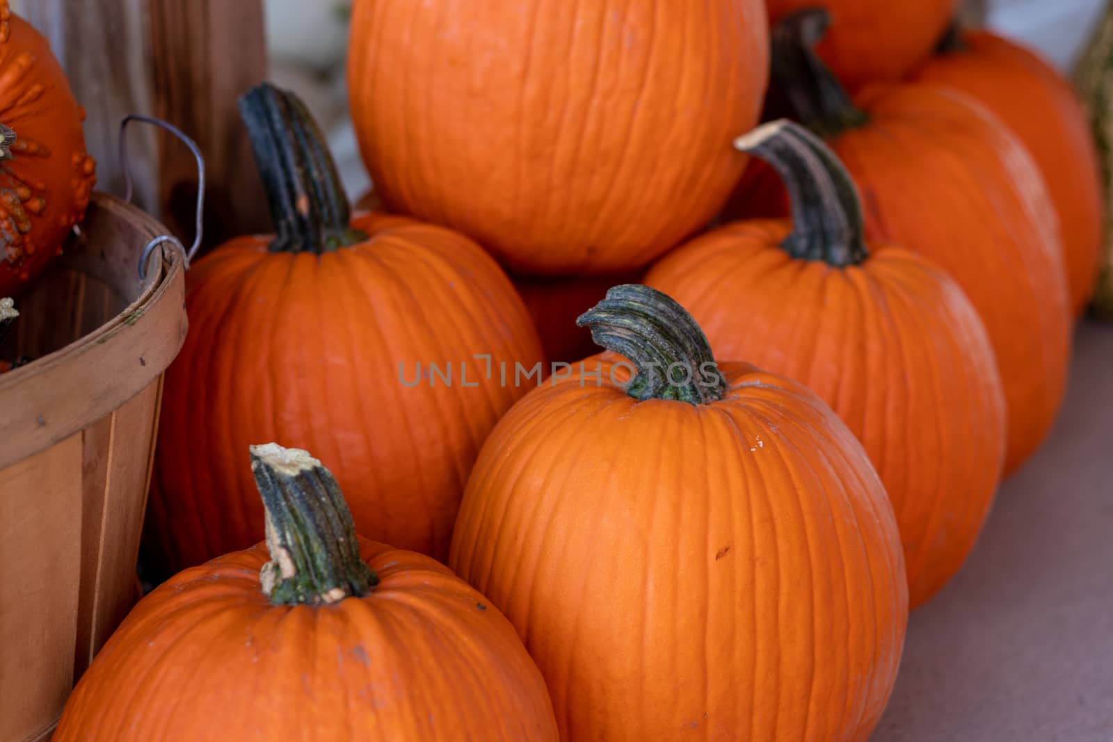 Side View of Farmers Market stack of orange pumpkins  by gena_wells