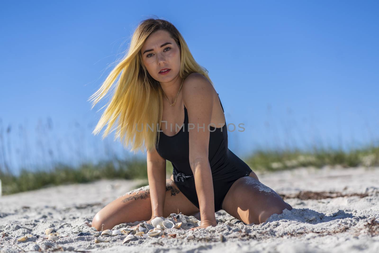 A gorgeous bikini model posing in a beach environment