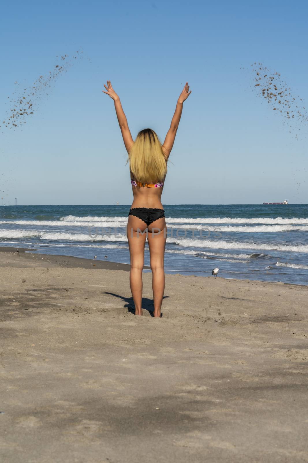 A gorgeous bikini model posing in a beach environment