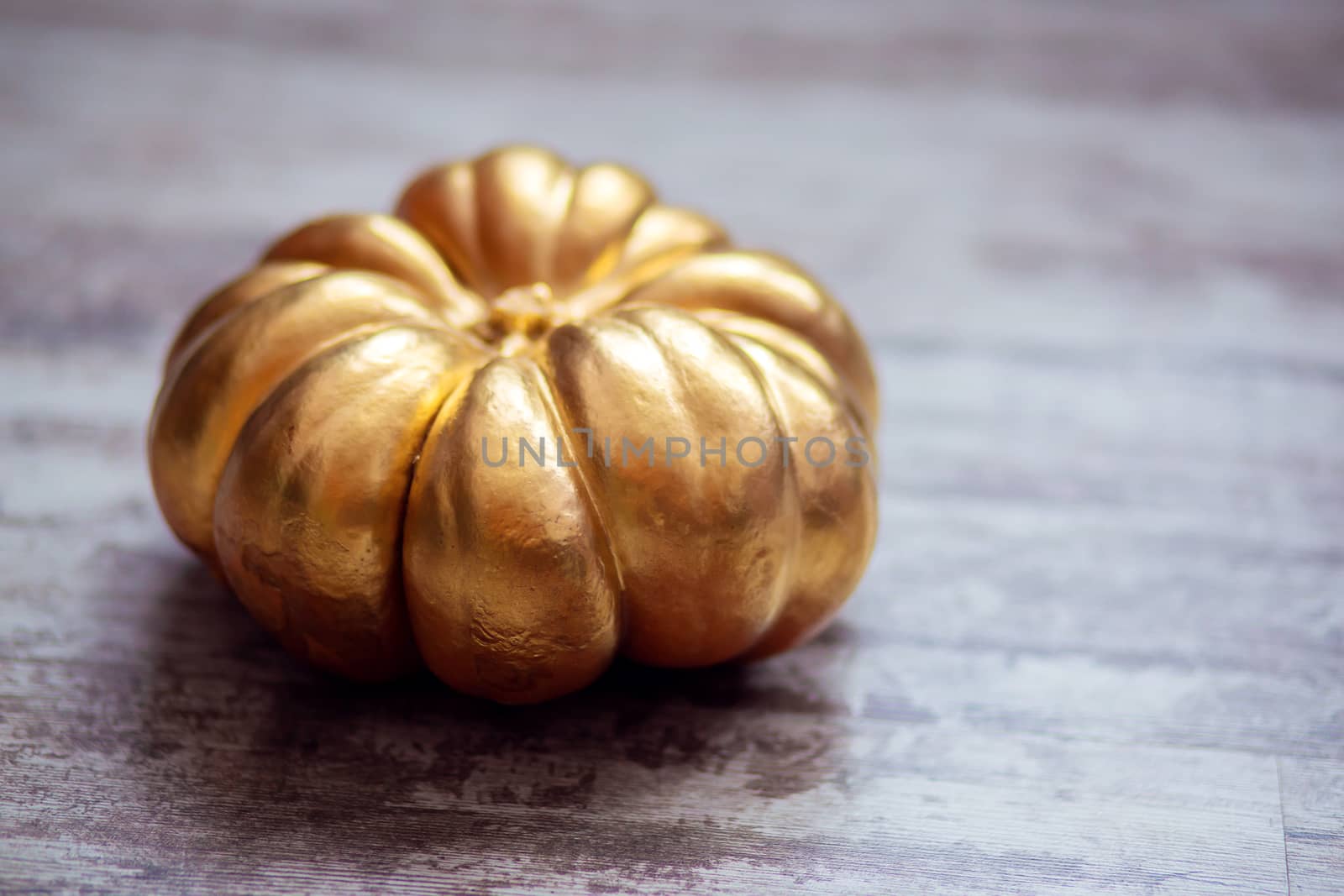 Top view of a large pumpkin painted gold. Postcard for Halloween.
