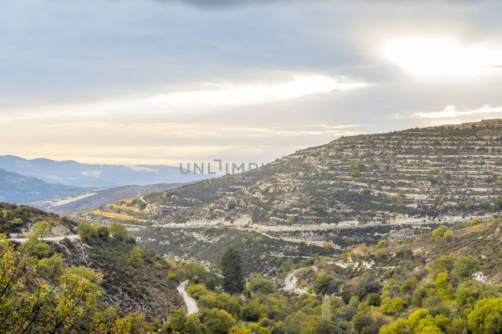 Vineyards of Cyprus in the Troodos mountains. Travel and tourism.