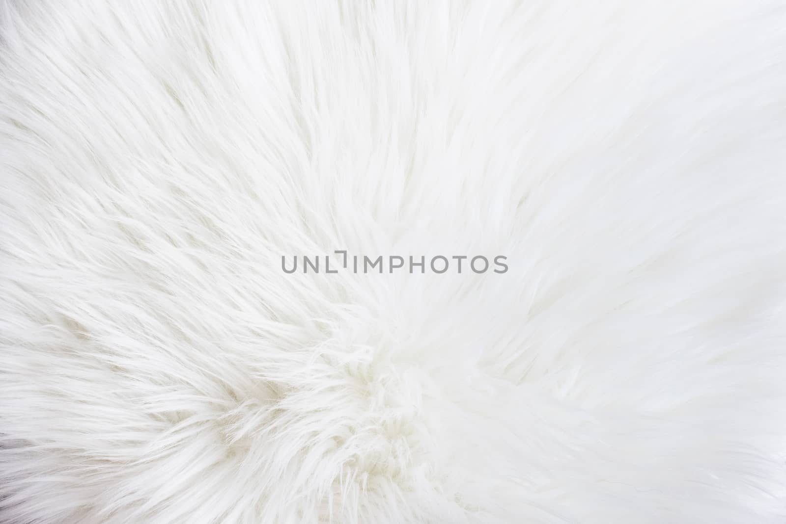 white fur texture background. Surface abstract fabric pattern at the white fabric carpet at the floor of house texture background