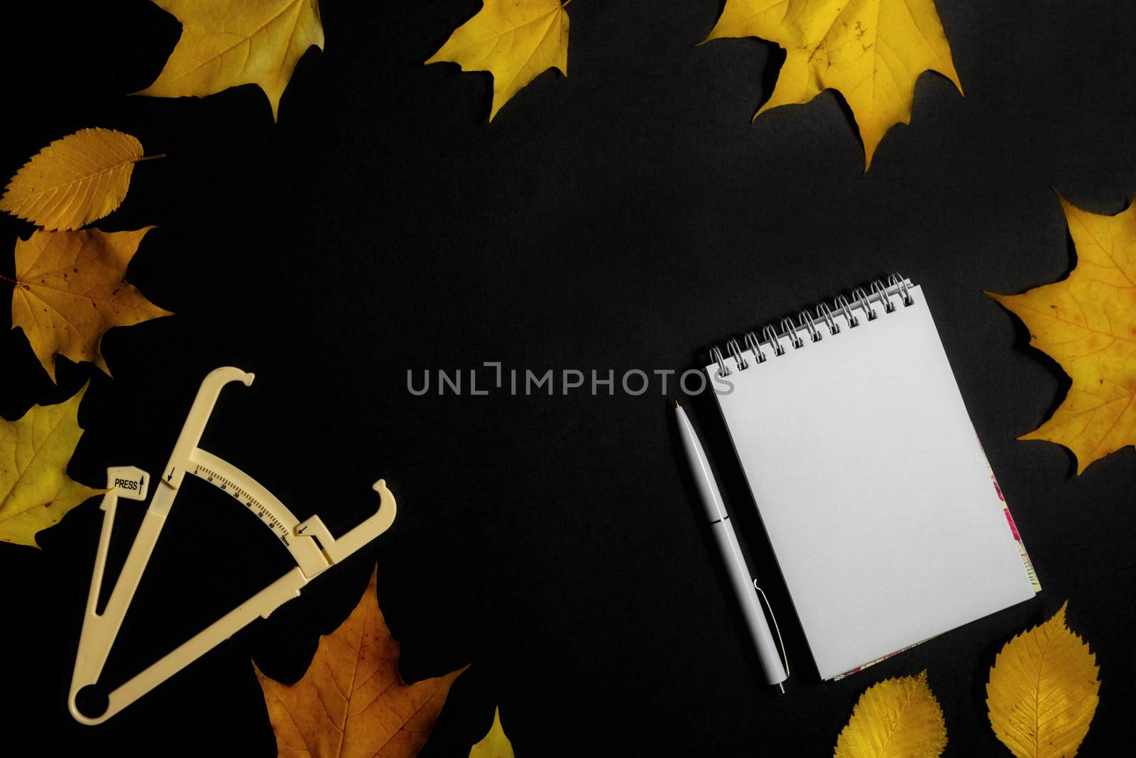 .Autumn fallen leaves, caliper and notebook on black background.