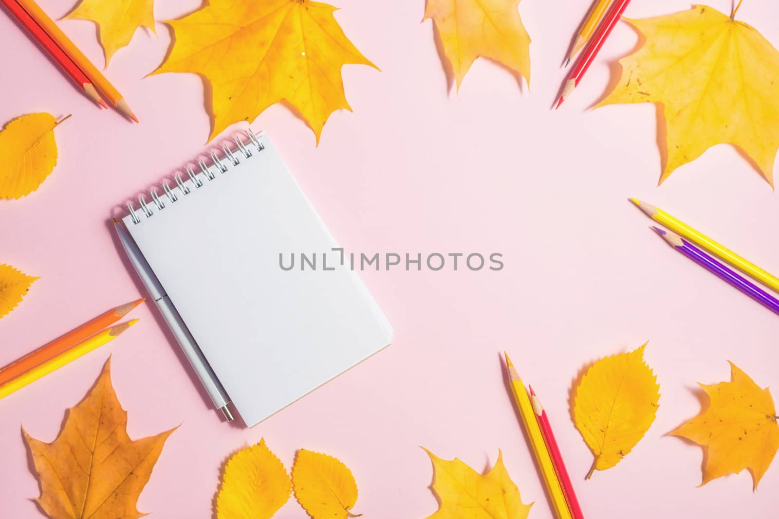 .Autumn fallen foliage and notebook on pink background