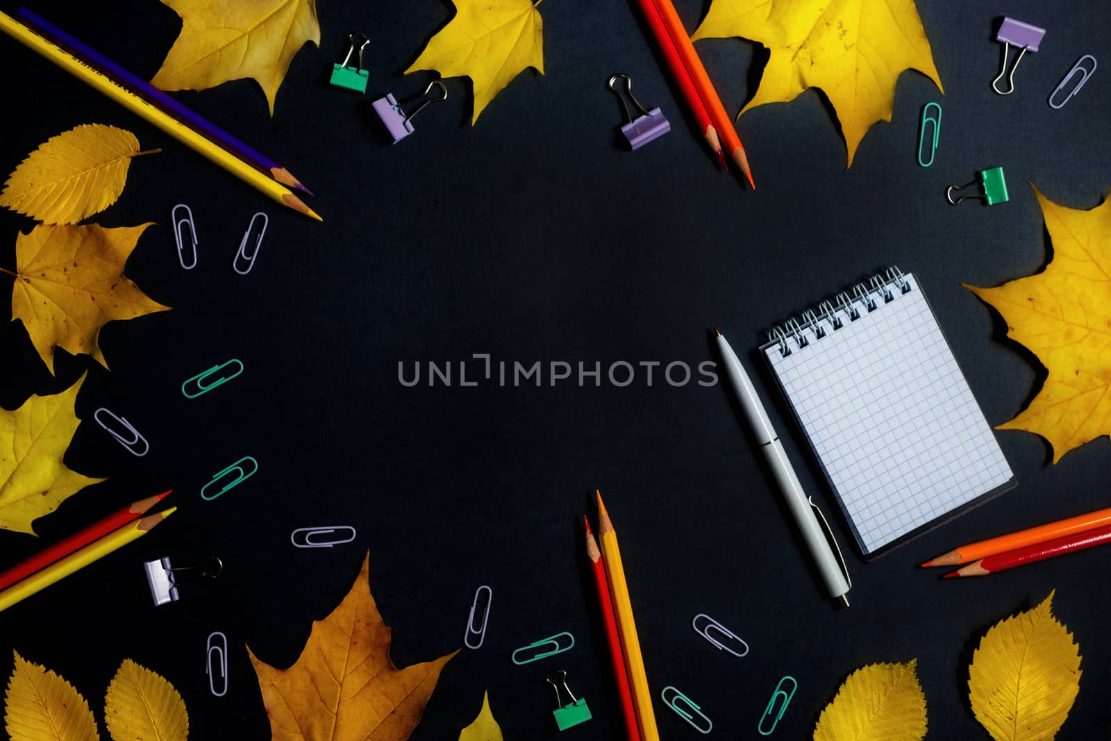 .Autumn fallen foliage and stationery on black background