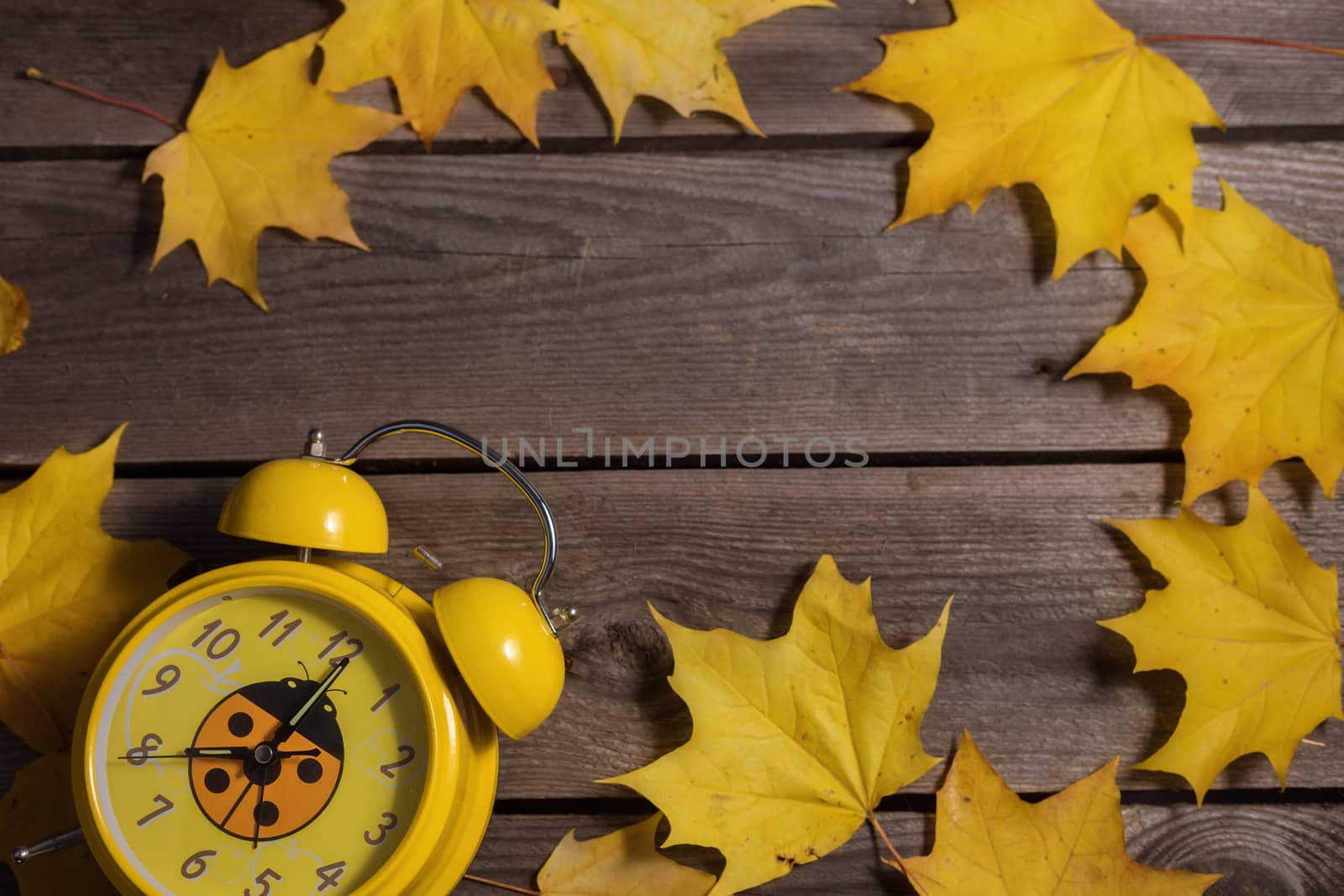 .Still life of autumn fallen leaves and office supplies on a wooden background.