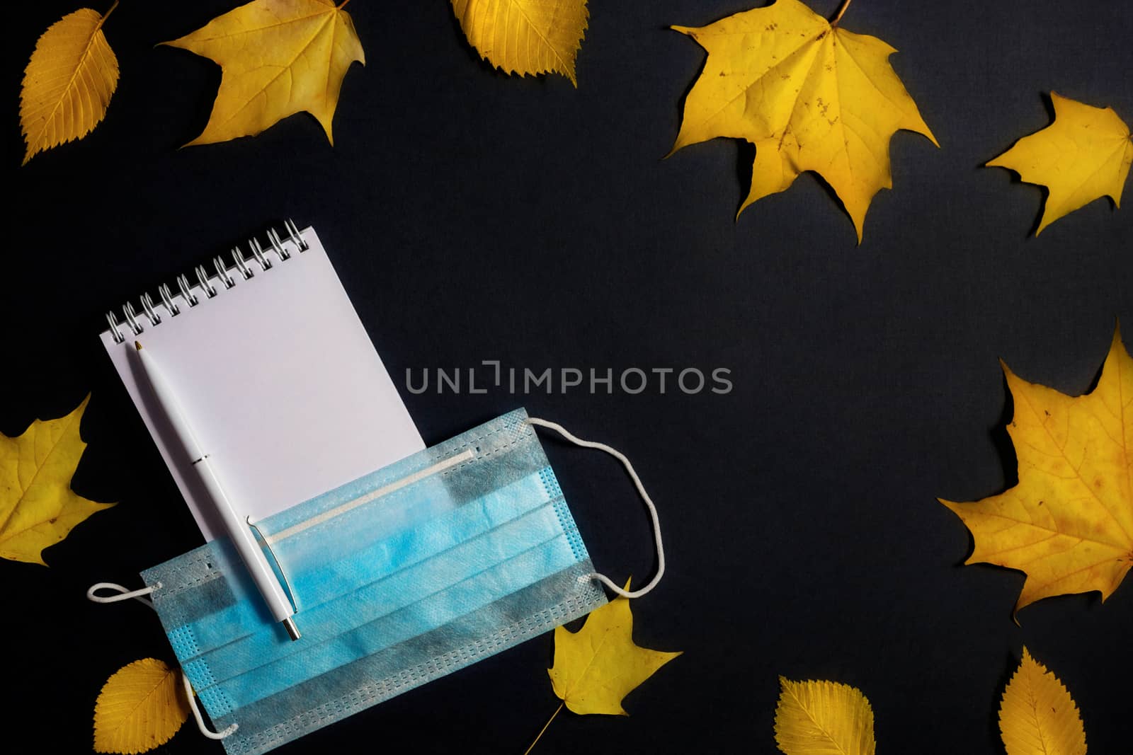 .Autumn fallen foliage, notebook and medical mask on black background by galinasharapova