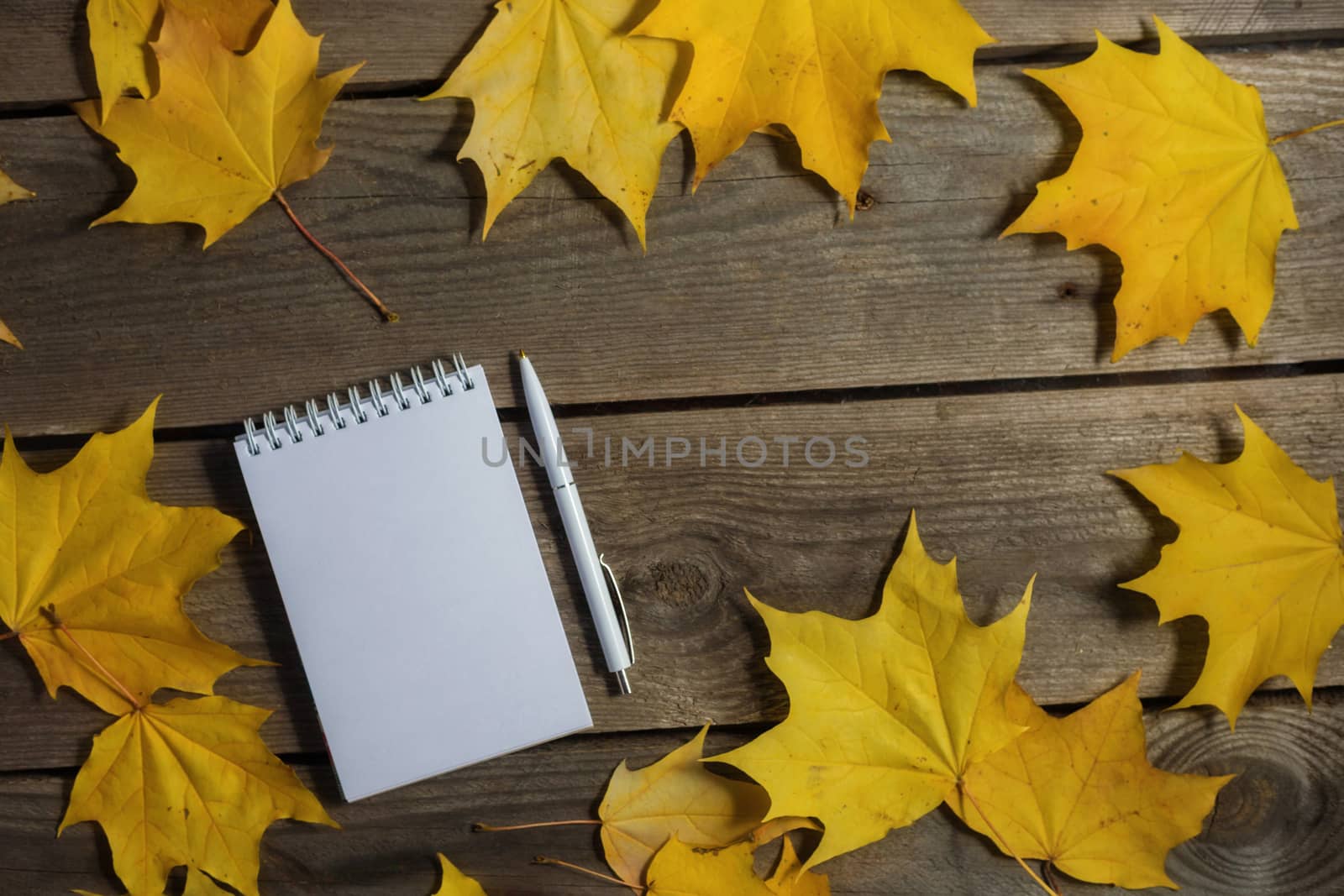 .Autumn fallen leaves and office supplies on wooden background