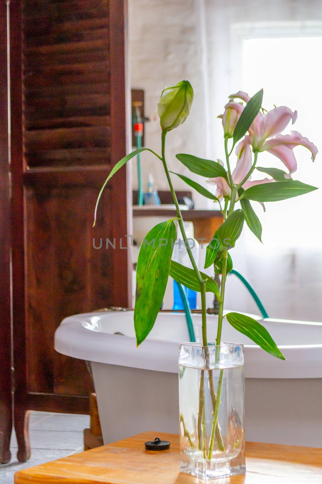 Pink flowers in a vase in a vintage styled bathroom with wooden door. Interior design.