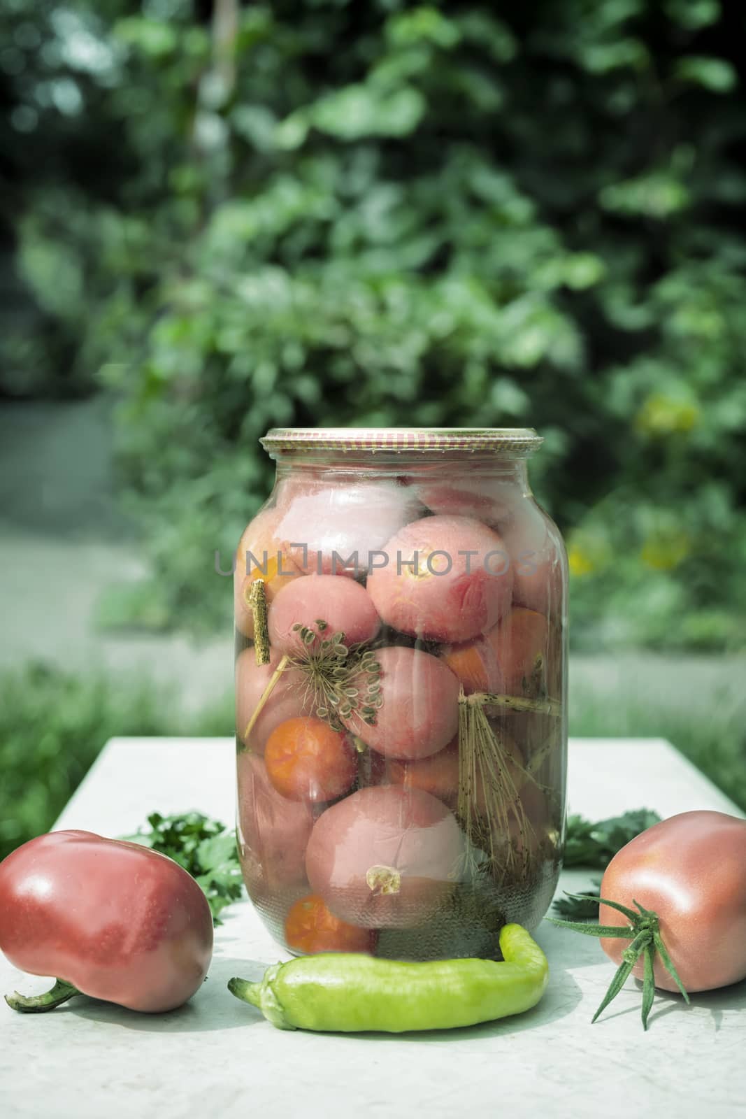 Home preservation: a large glass jar with red ripe pickled tomatoes, closed with a metal lid, on a table in the garden. Front view, copy space