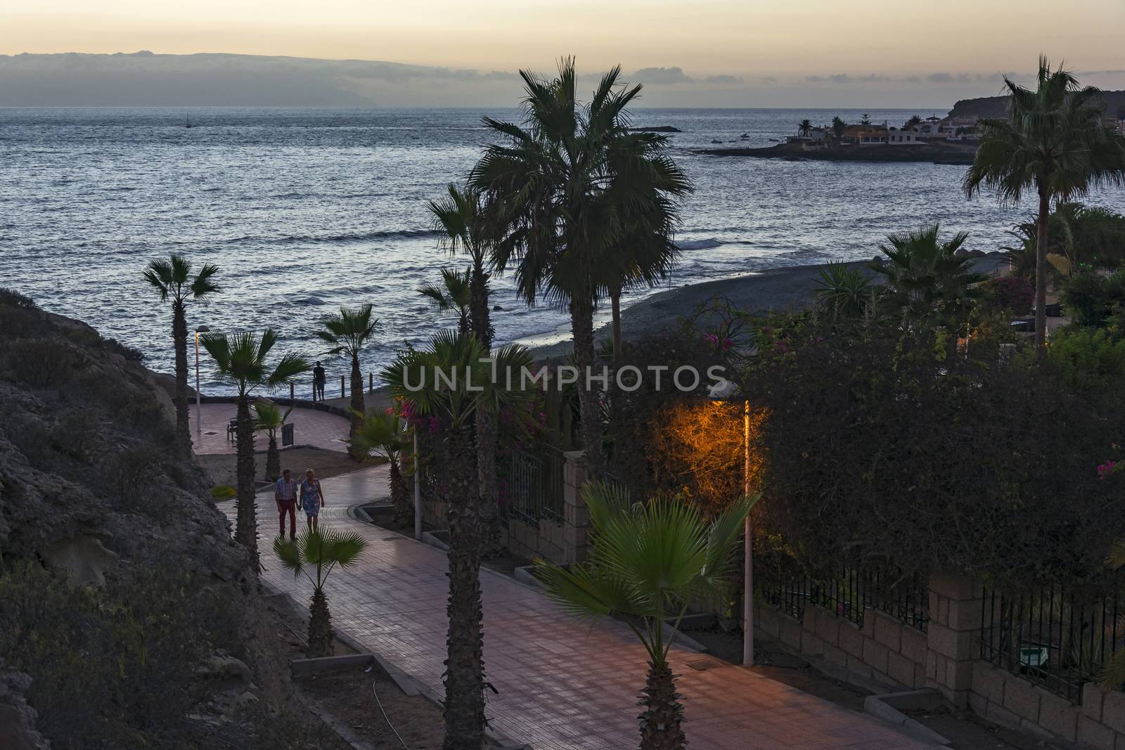 Man and woman walking along the alley of the evening with palm trees