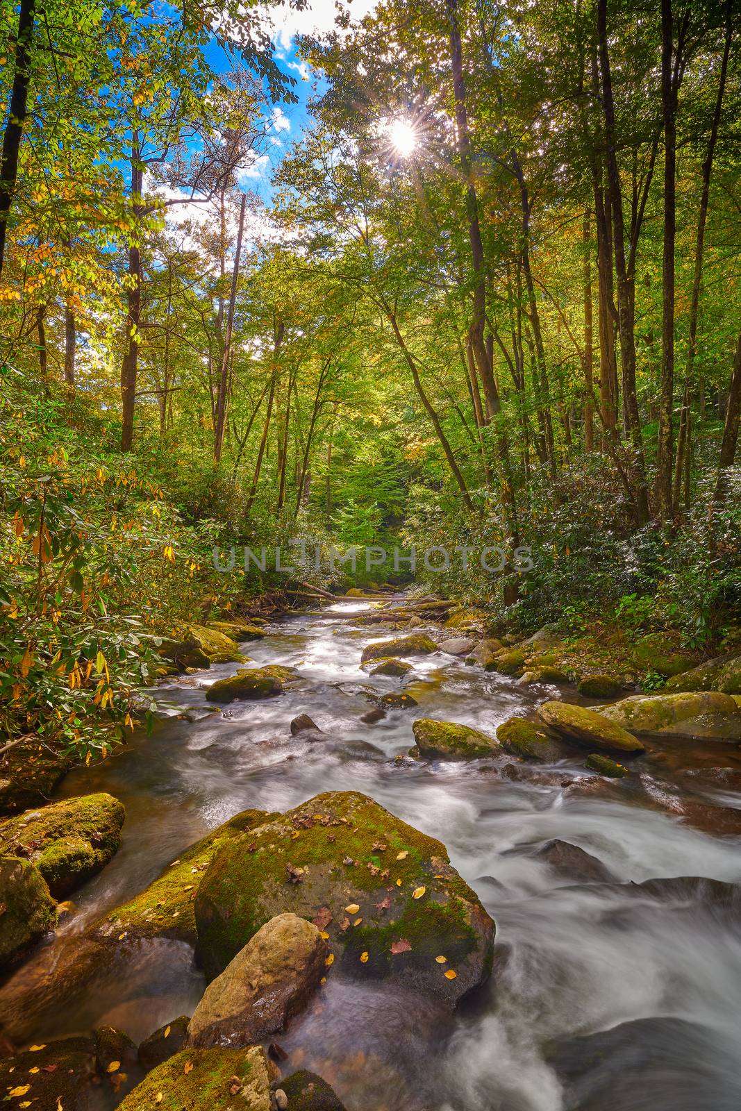Curtis Creek near Curtis Creek Campground in the mountians of No by patrickstock