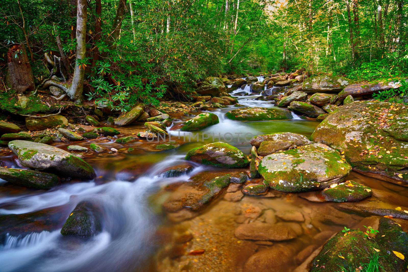 Curtis Creek near Curtis Creek Campground in the mountians of No by patrickstock