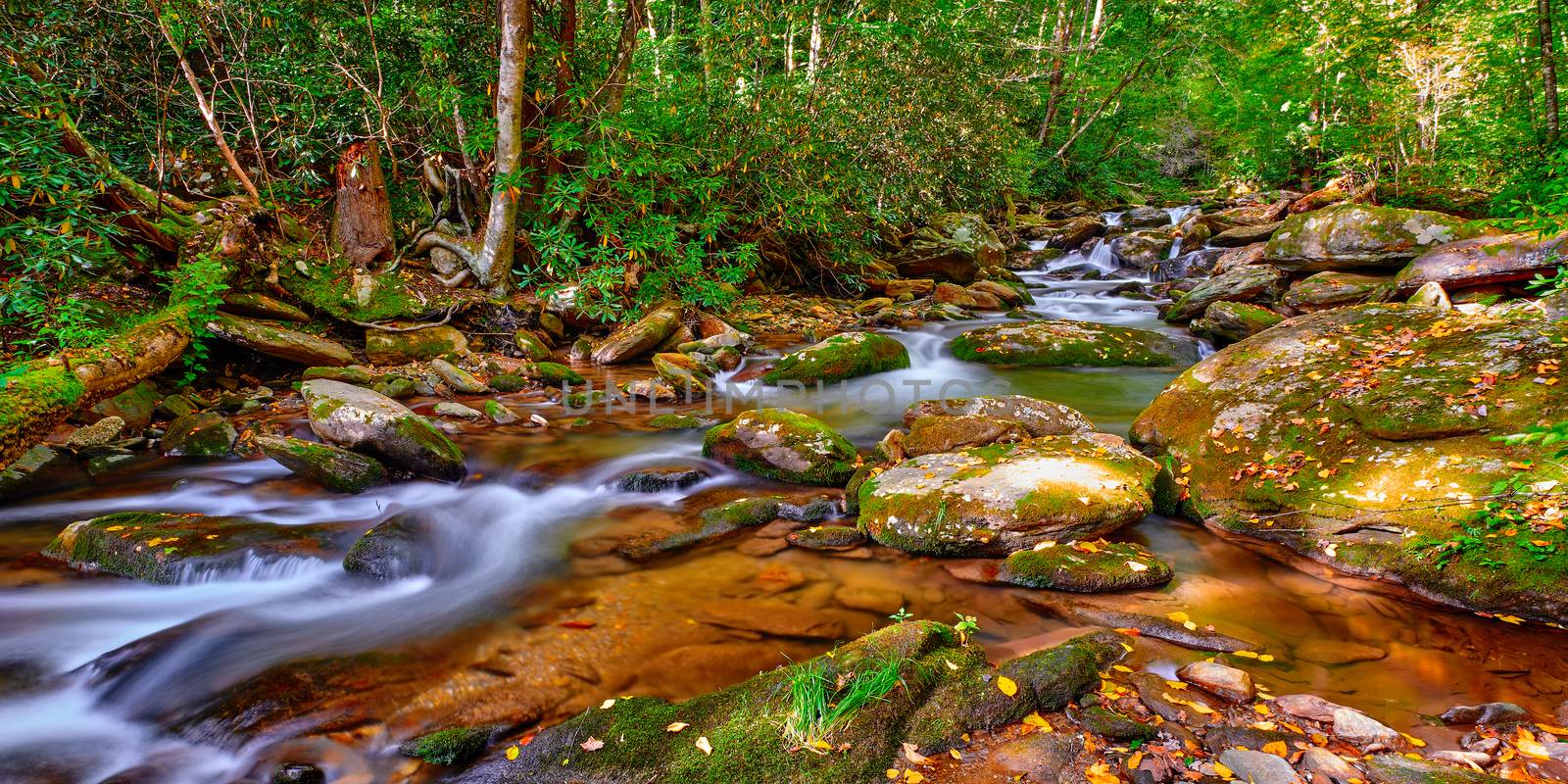 Curtis Creek near Curtis Creek Campground in the mountians of No by patrickstock