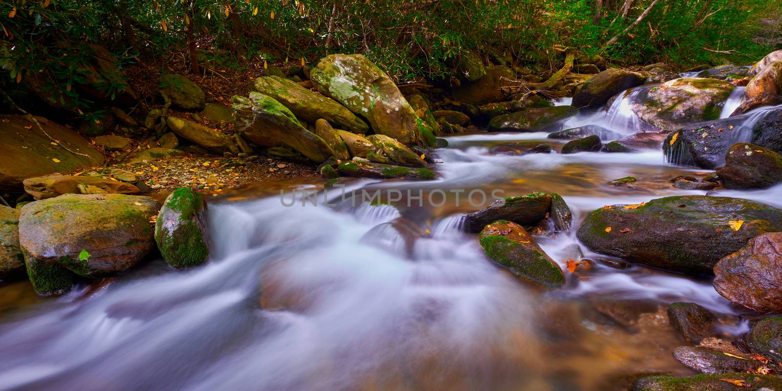 Curtis Creek near Curtis Creek Campground in the mountians of No by patrickstock