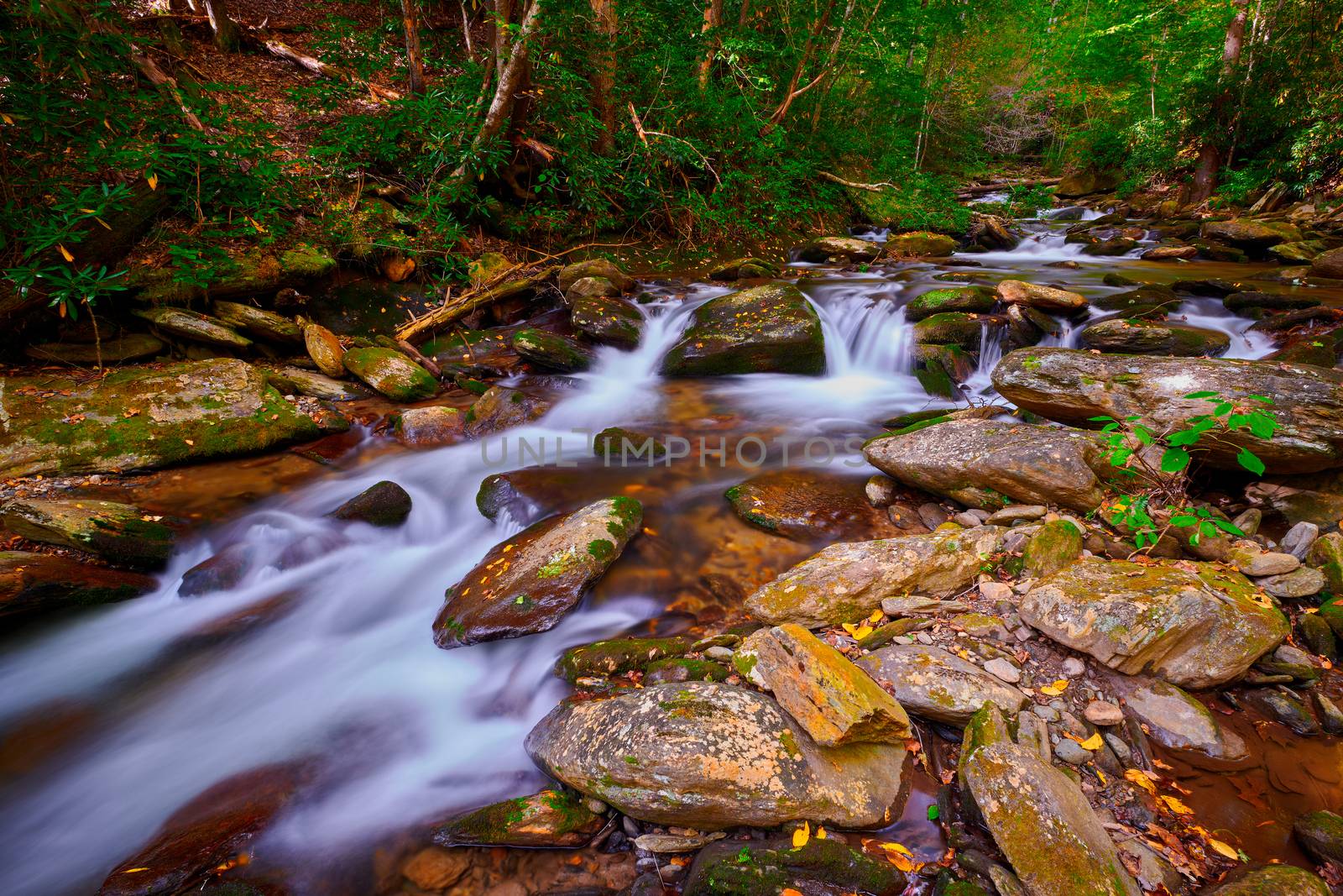 Curtis Creek near Curtis Creek Campground in the mountians of North Carolina.