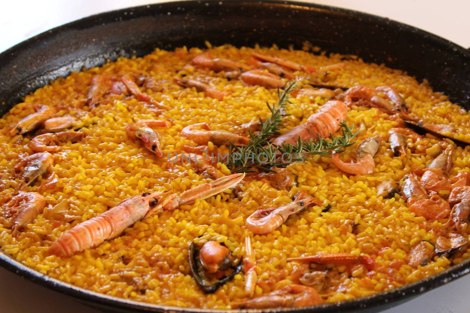 Typical spanish paella