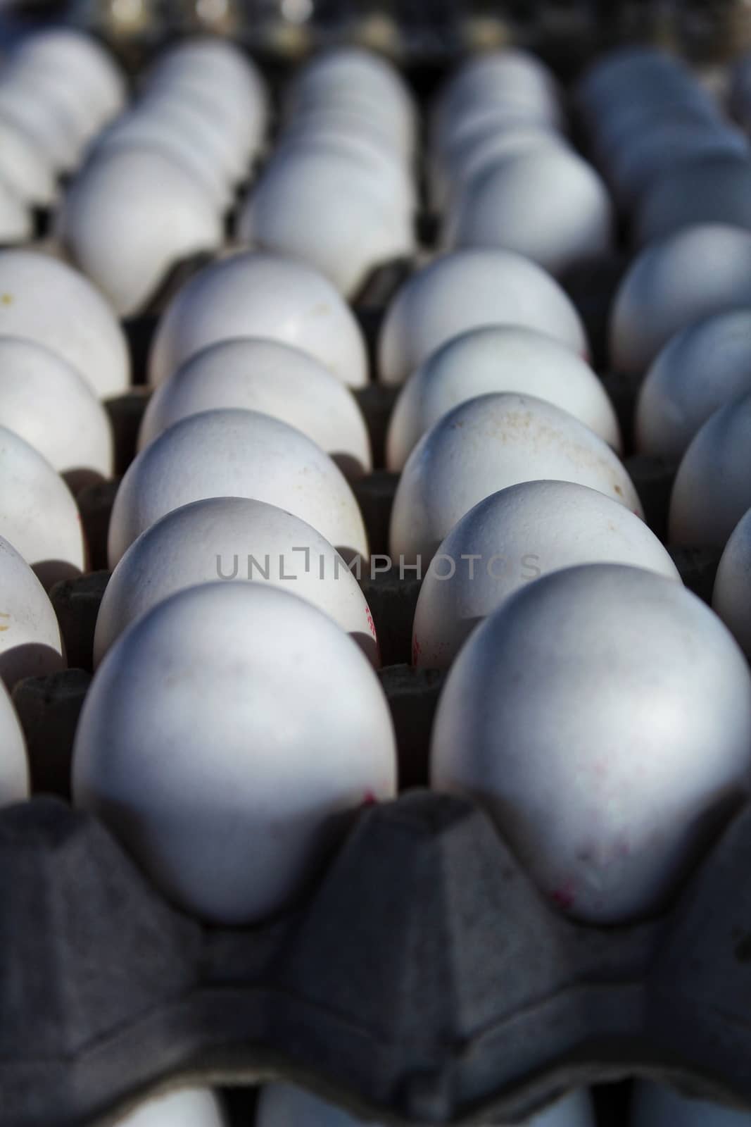 White fresh eggs at a market stall by soniabonet