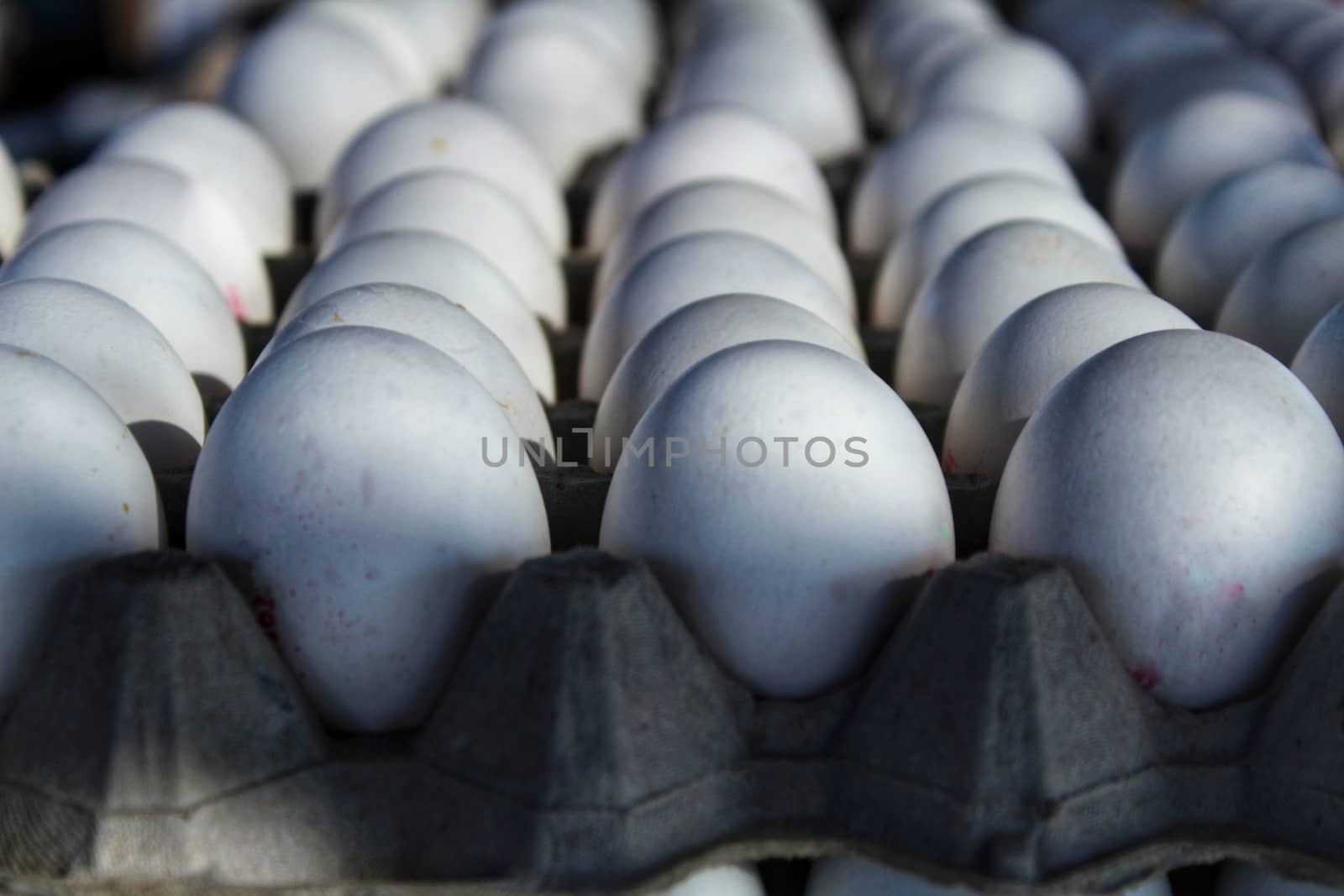 White fresh eggs at a market stall in Santa Pola, Alicante, Spain