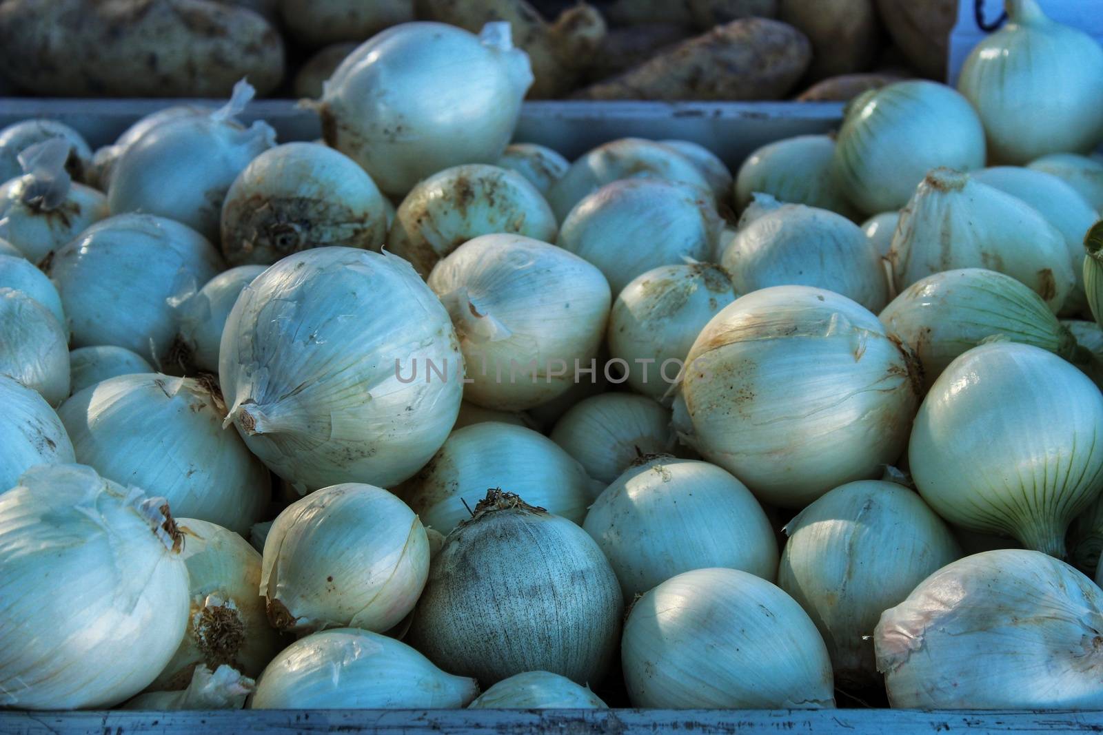 Onions for sale at a market stall by soniabonet