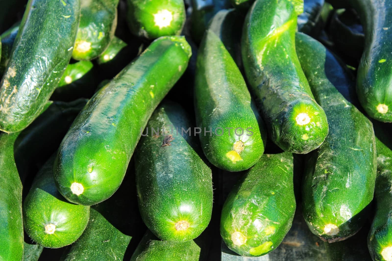 Zucchini for sale at a market stall by soniabonet