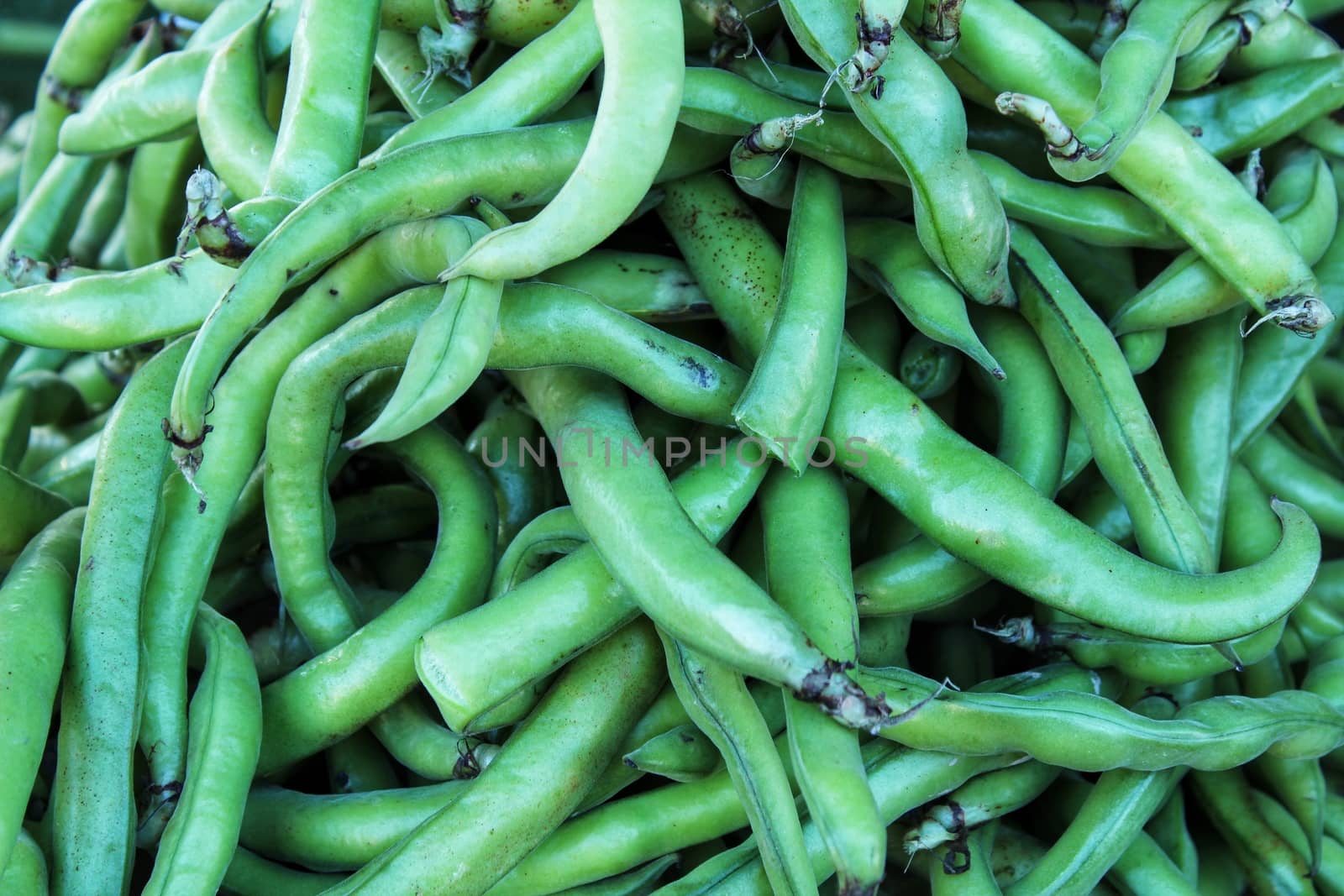 Broad beans for sale at a farmer market stall in Spain