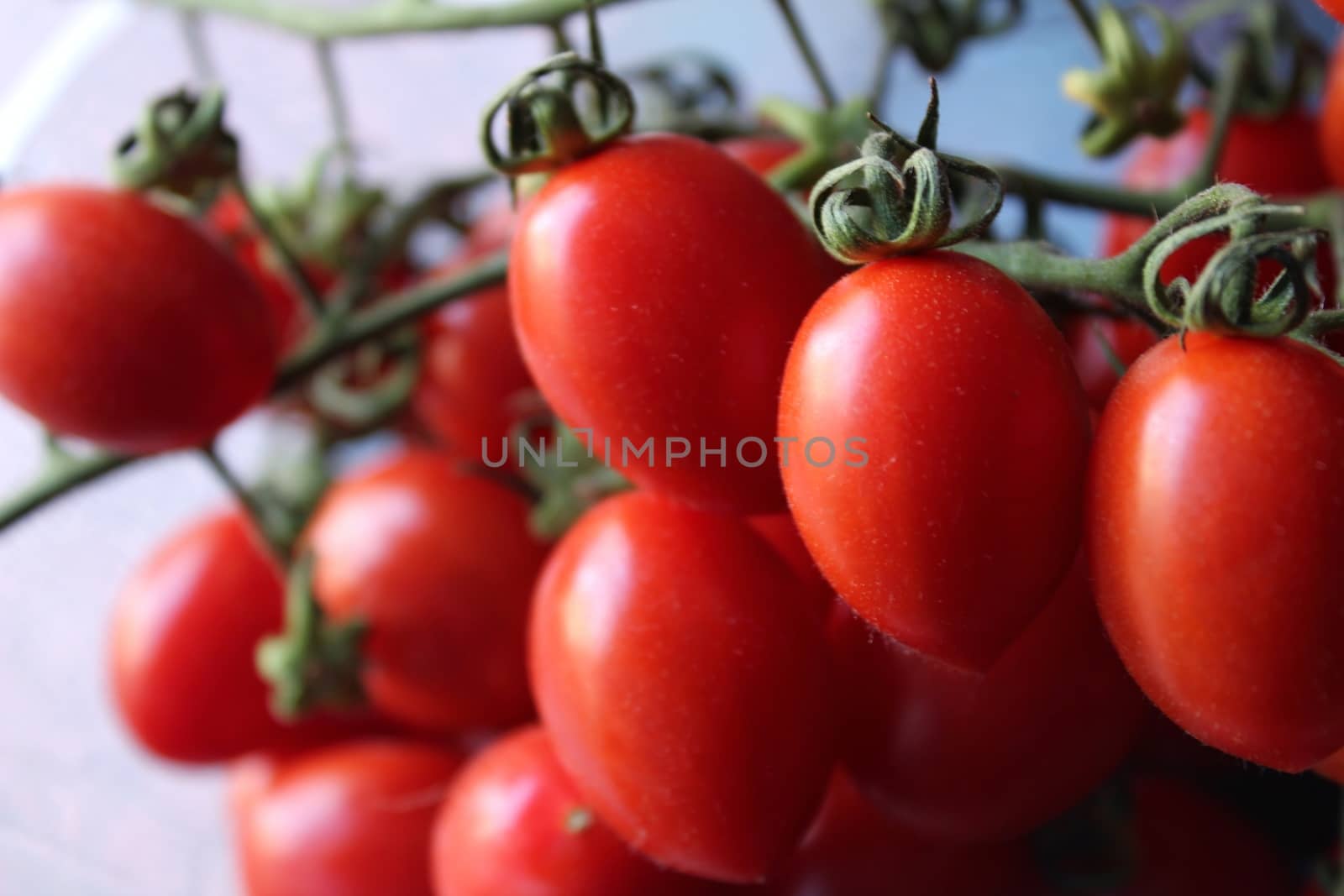 Tomatoes for sale at a market stall by soniabonet