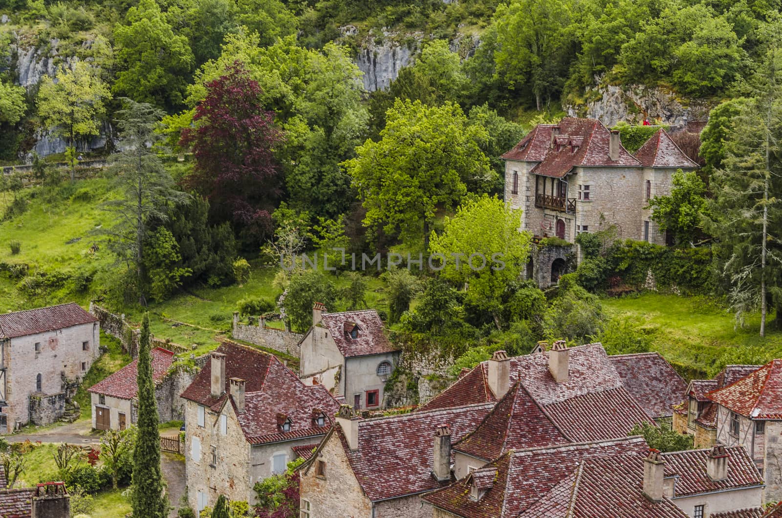 you can see the houses, the vegetation and the calcareous mountains background that surround the beautiful village of saint cirq lapopie in the south of france