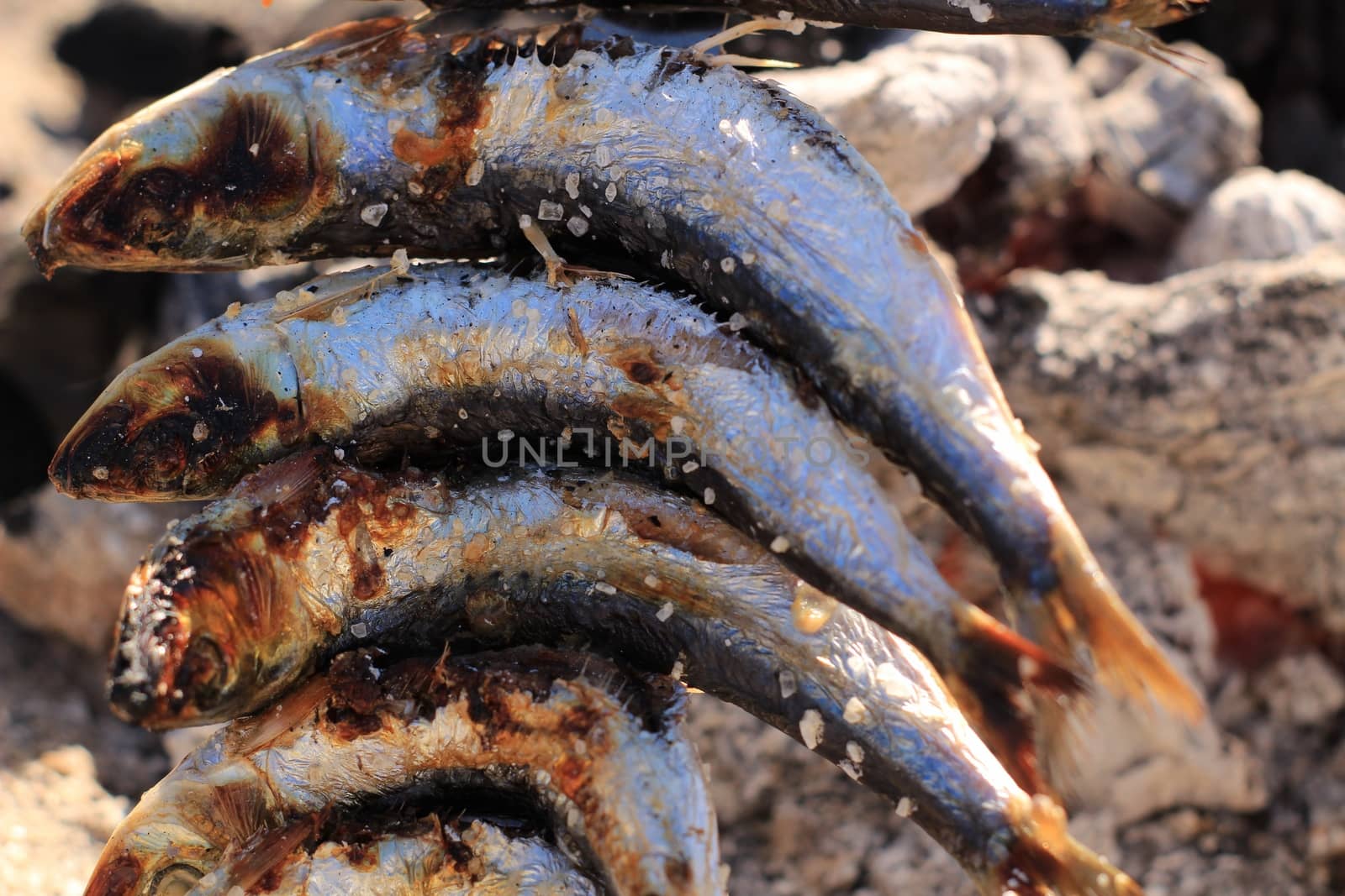 Roasted sardines on a spit in southern Spain by soniabonet