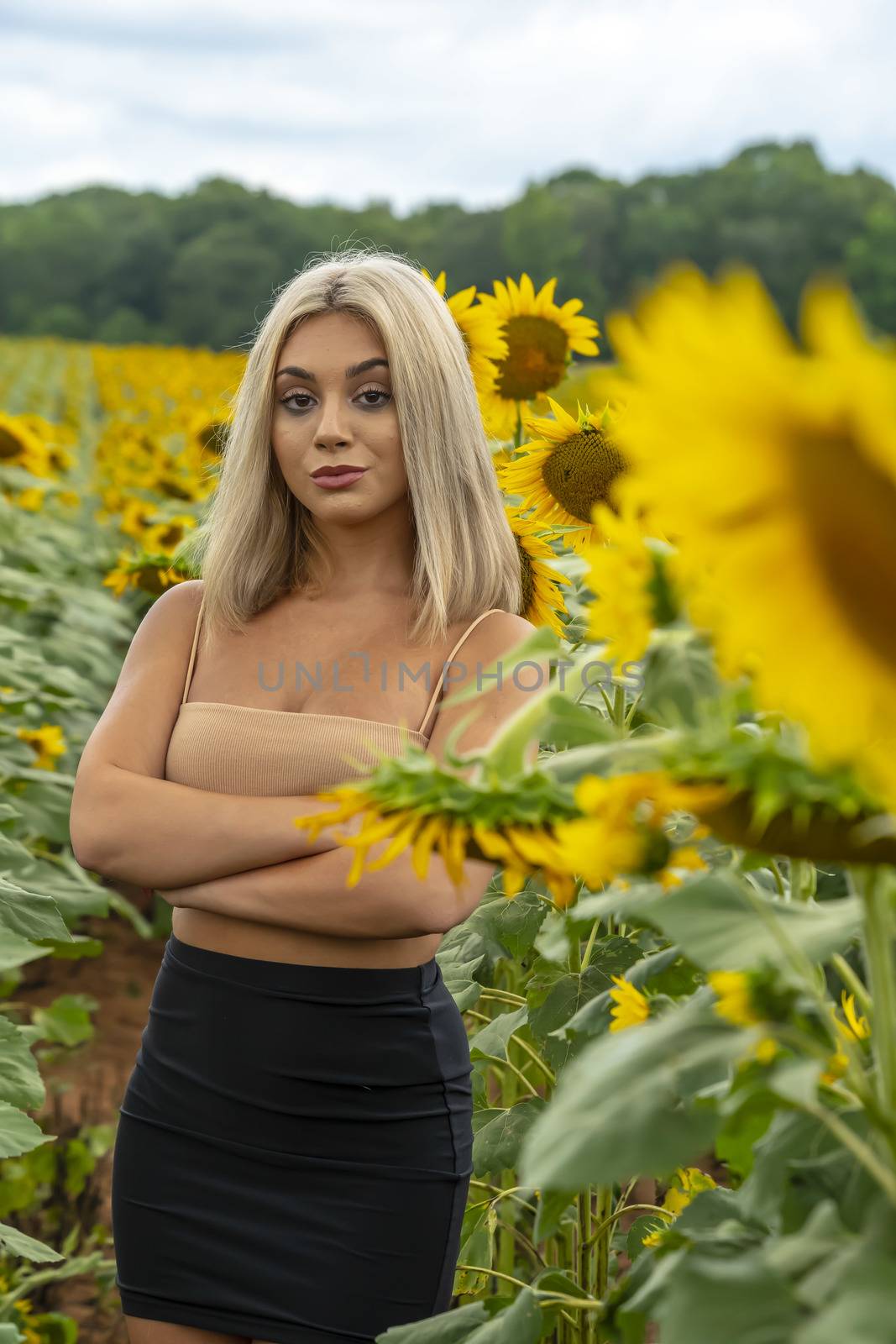 A gorgeous young blonde model poses outdoors in a field of sunflowers while enjoying a summers day